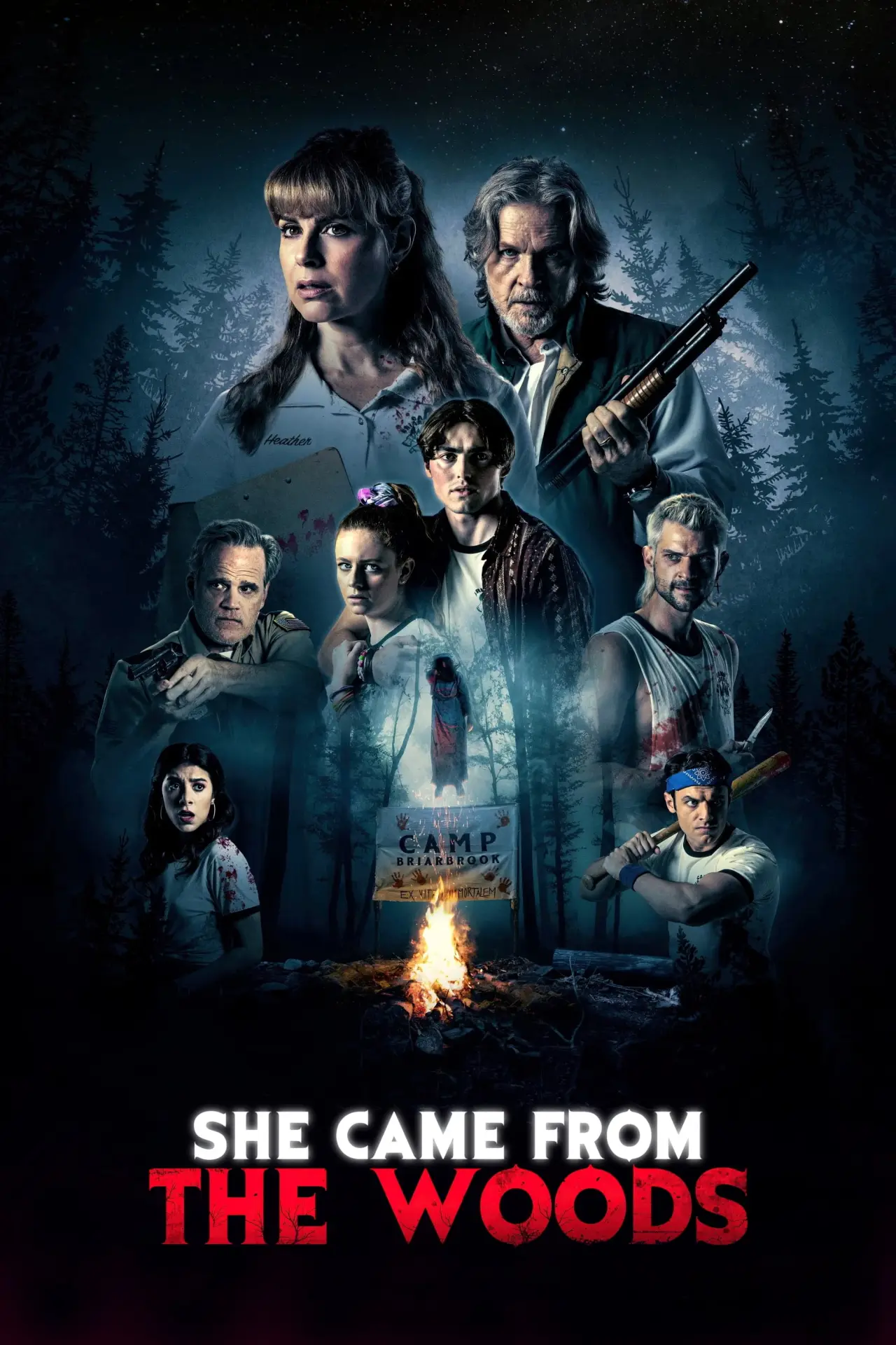 Plakat filmowy "Kobieta z lasu"