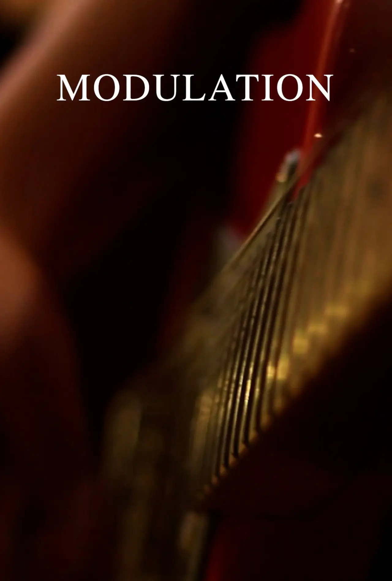 Plakat filmowy "Modulation"