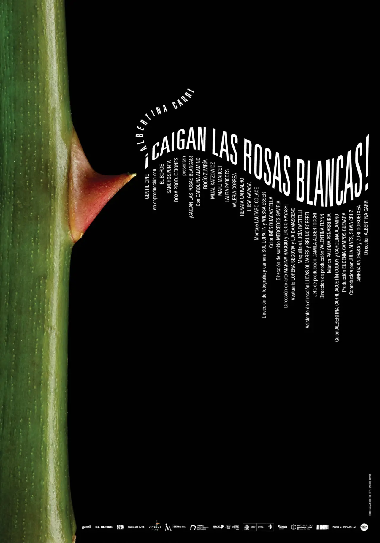 Plakat filmowy "¡Caigan las rosas blancas!"
