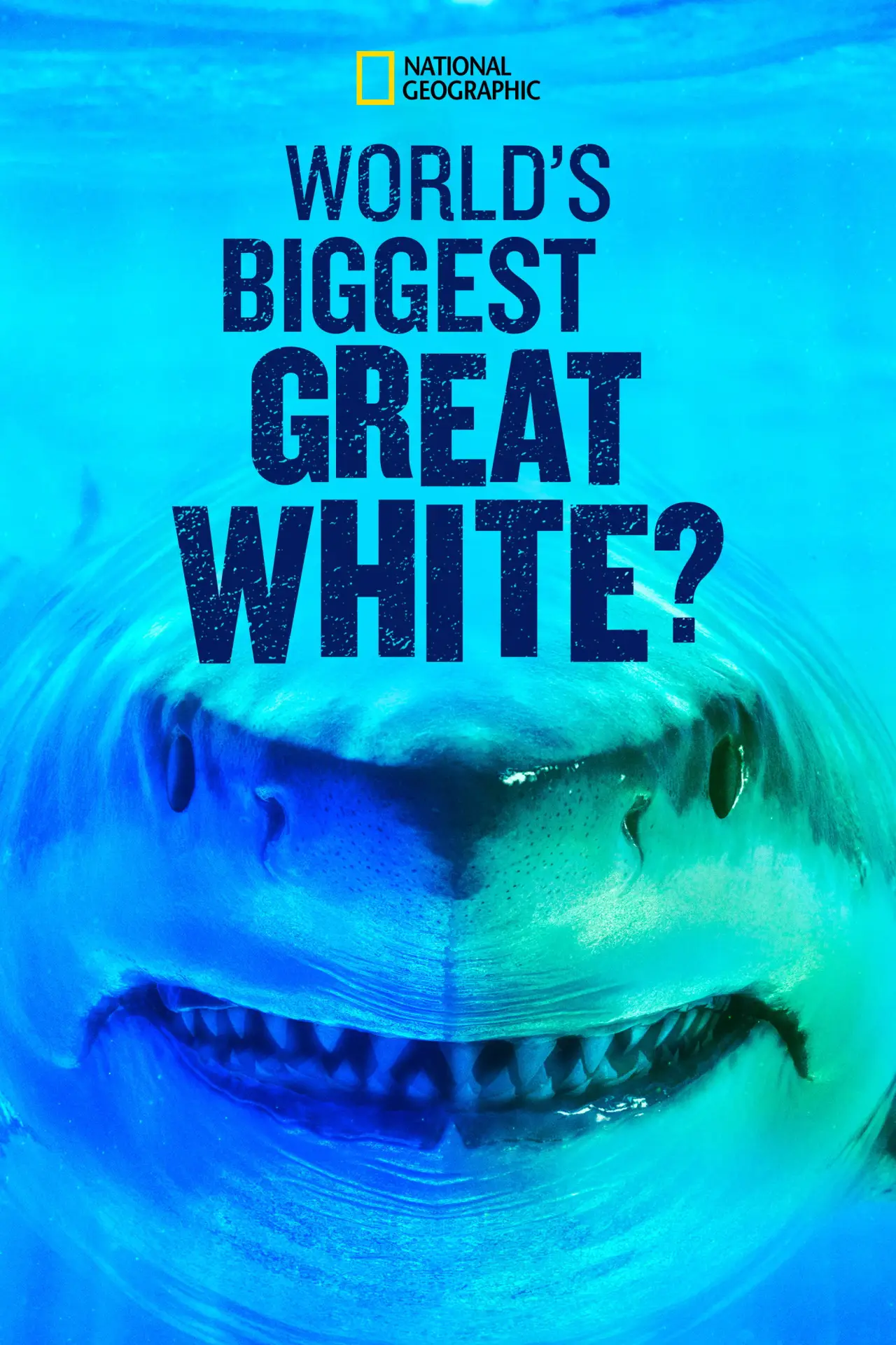 Plakat filmowy "World
