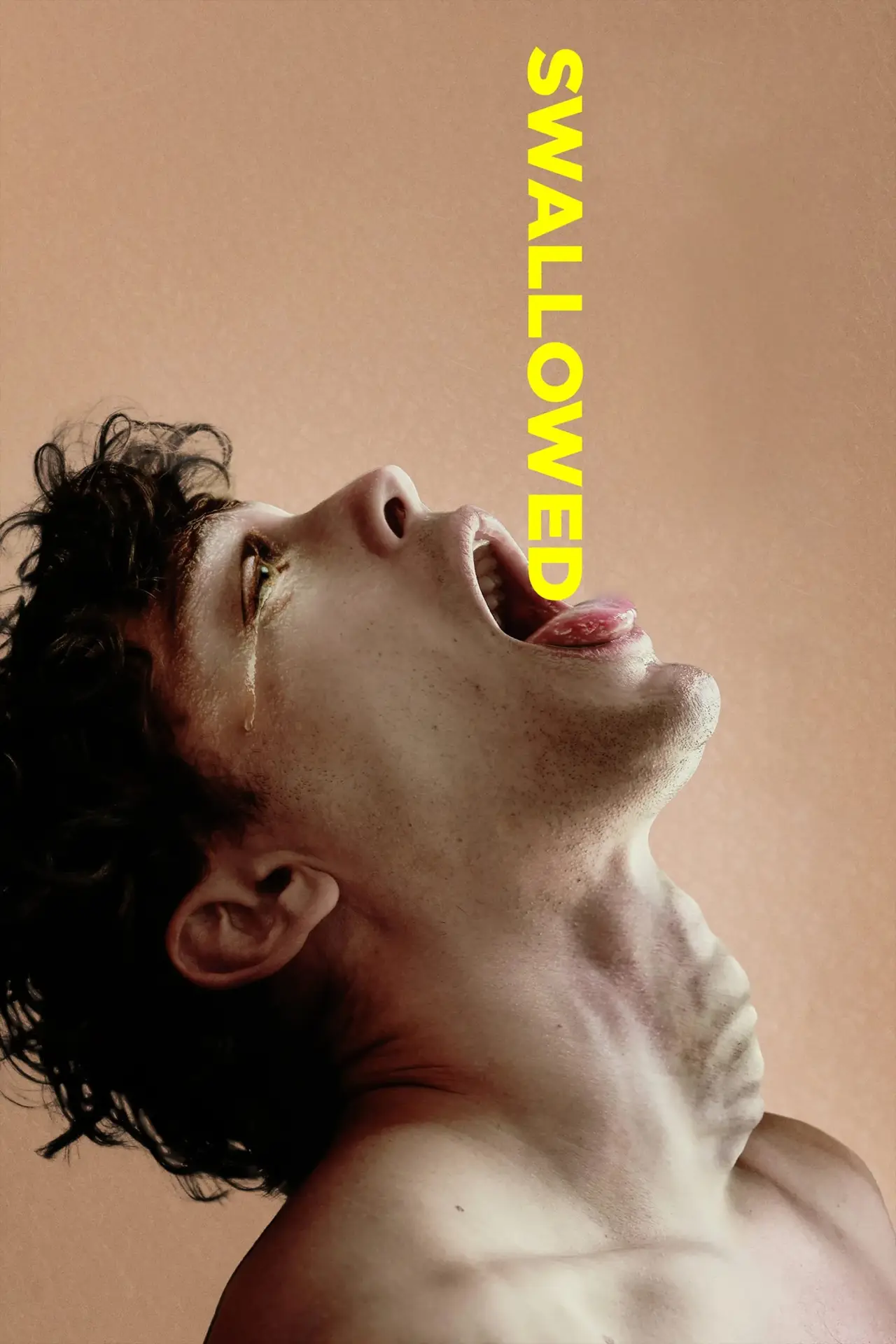 Plakat filmowy "Swallowed"