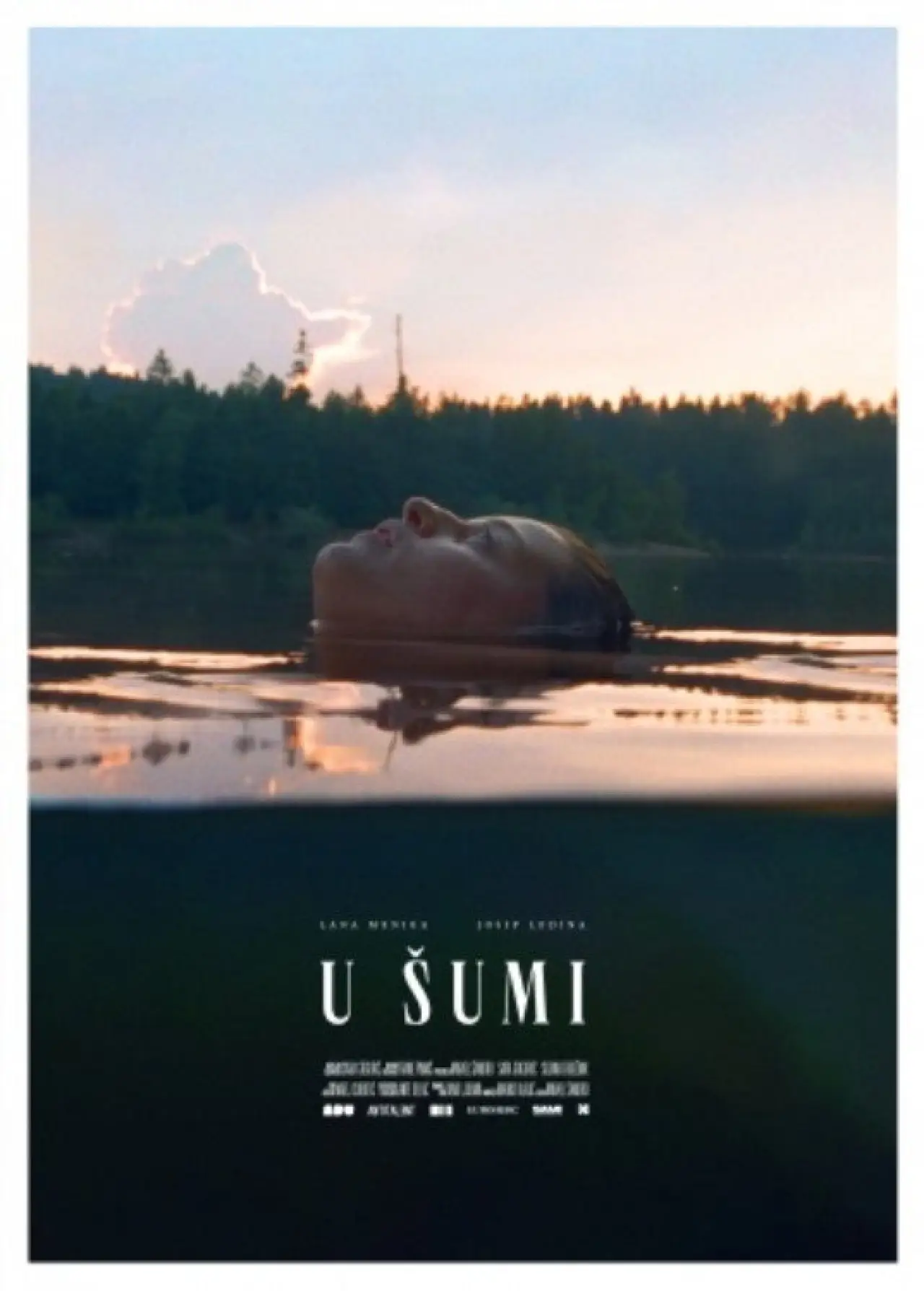 Plakat filmowy "U šumi"