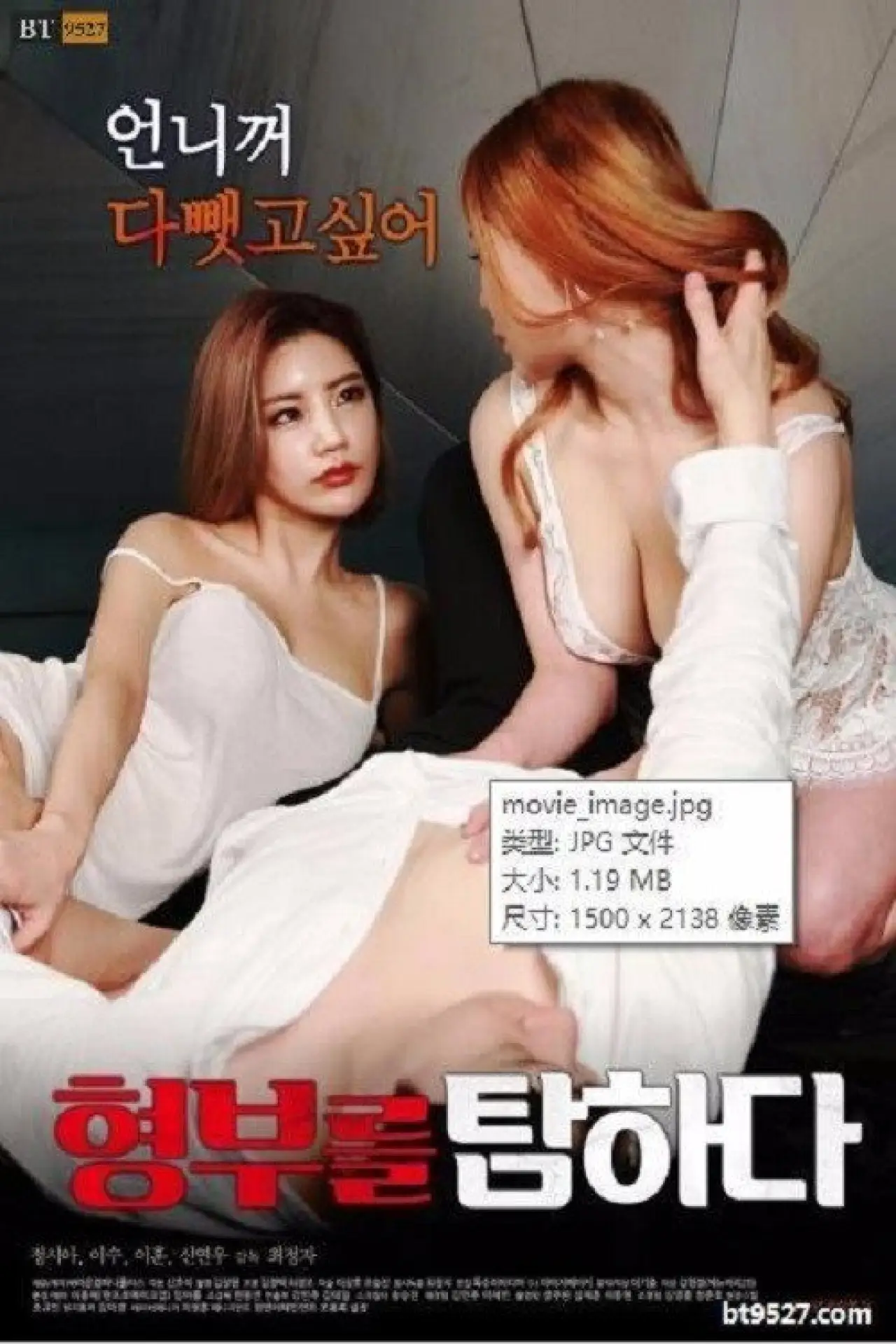 Plakat filmowy "형부를 탐하다"