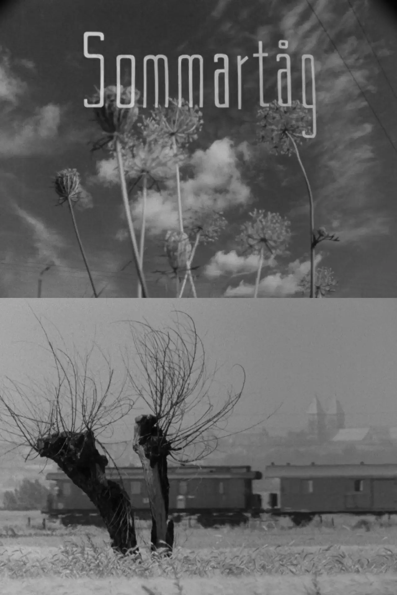 Plakat filmowy "Sommartåg"