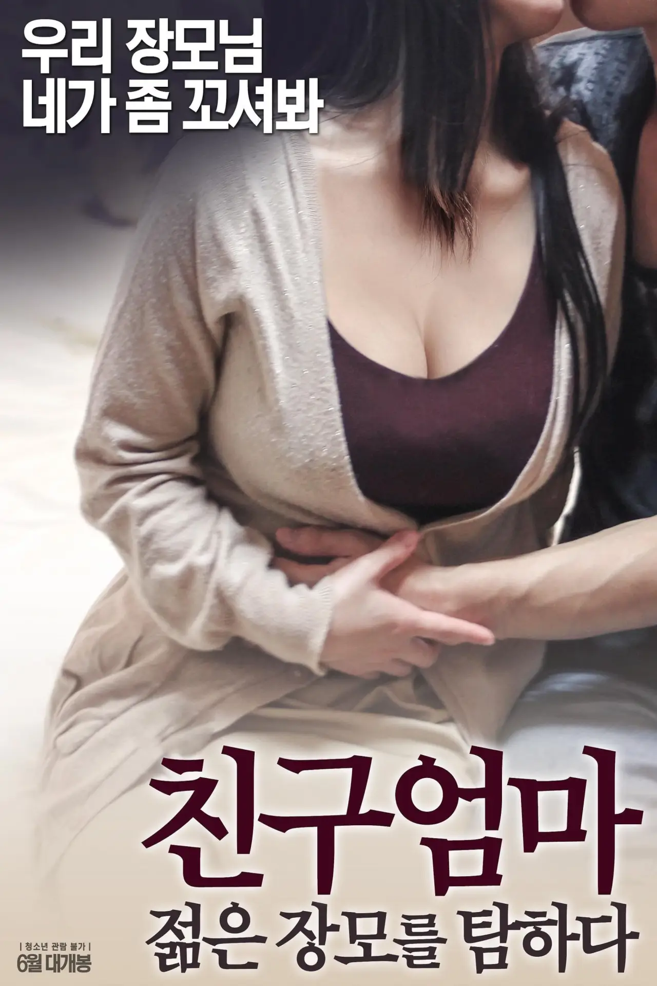 Plakat filmowy "친구 엄마: 젊은 장모를 탐하다"