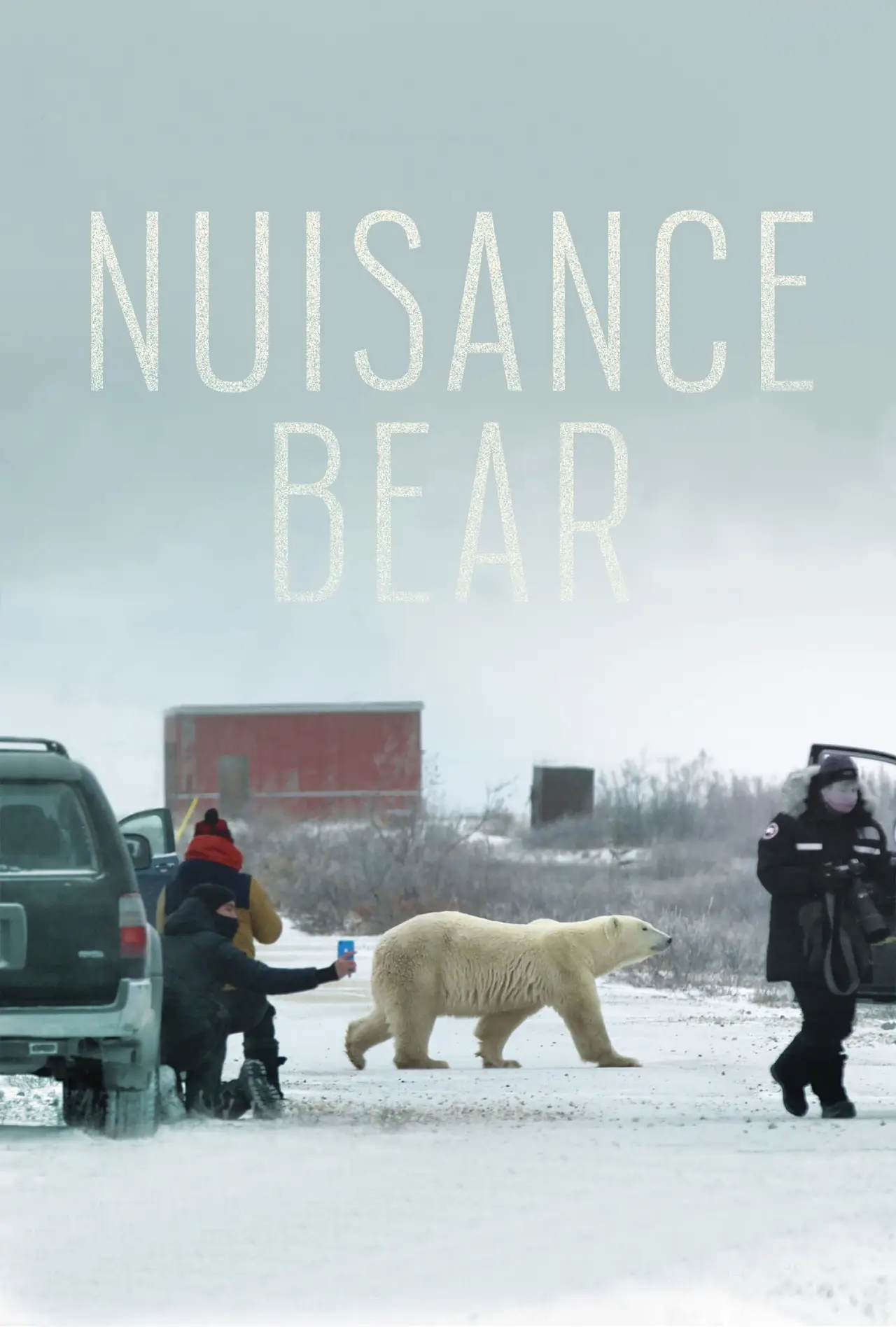 Plakat filmowy "Nuisance Bear"