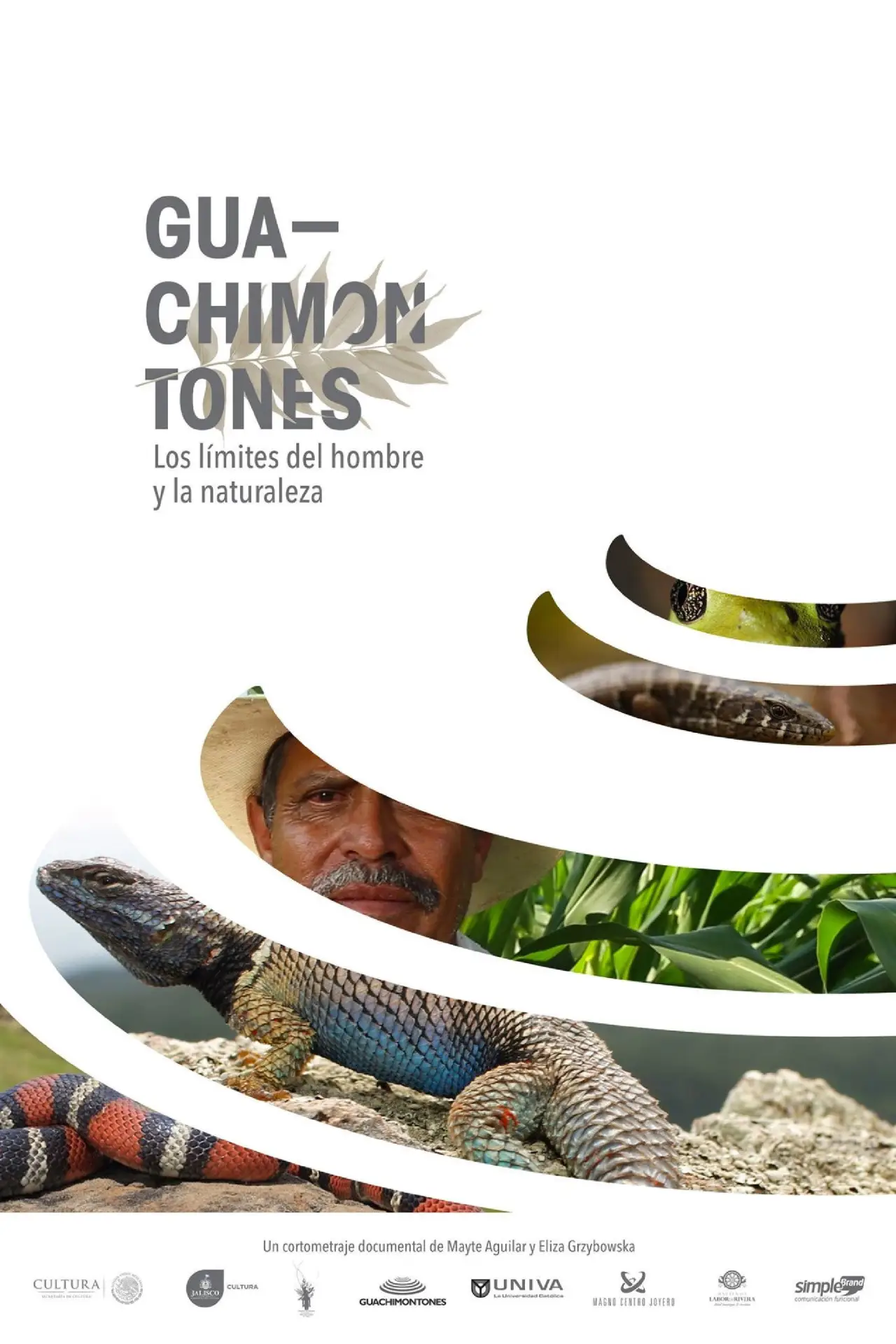 Plakat filmowy "Guachimontones, los límites del hombre y la naturaleza."