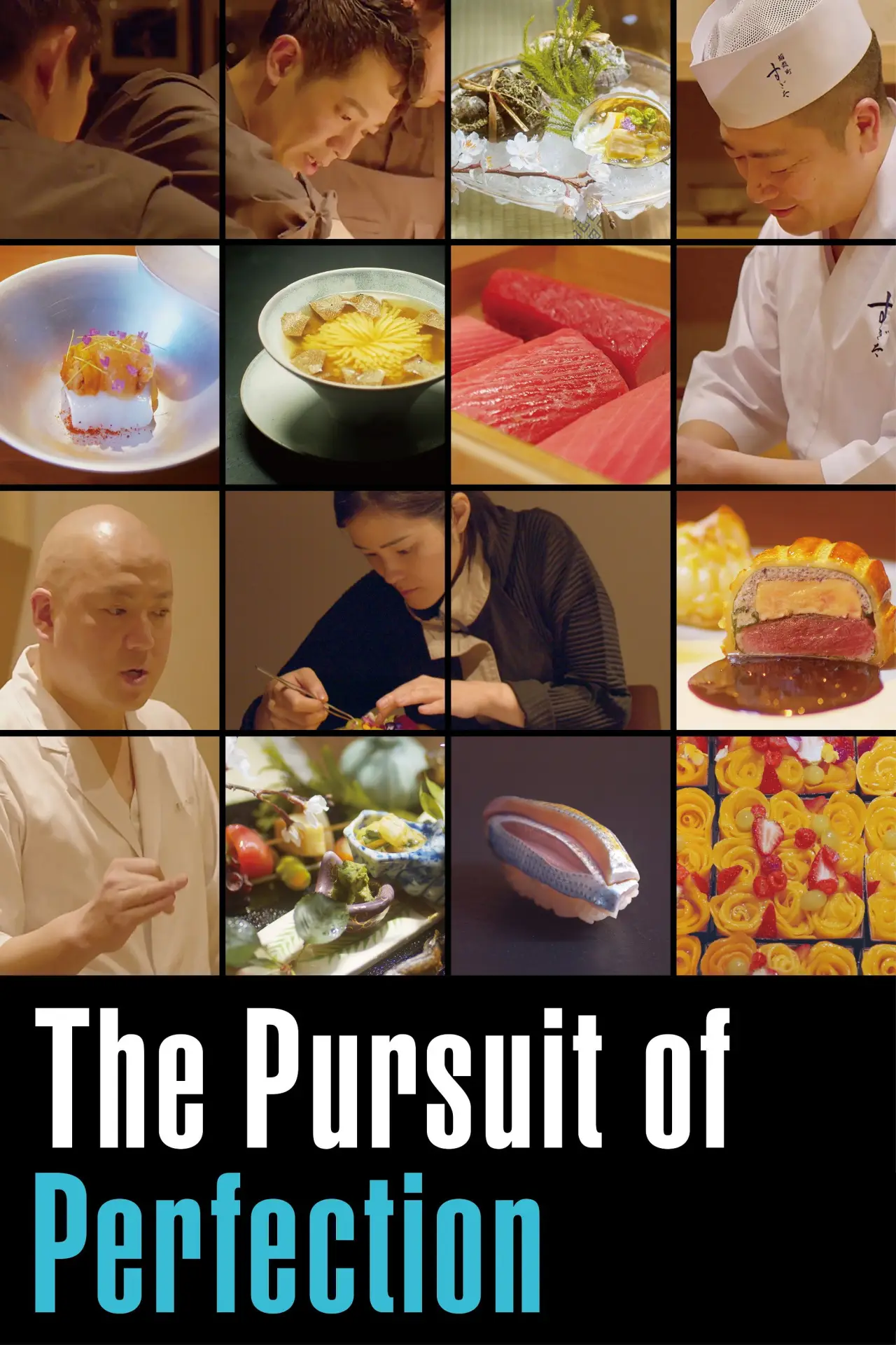 Plakat filmowy "The Pursuit of Perfection"