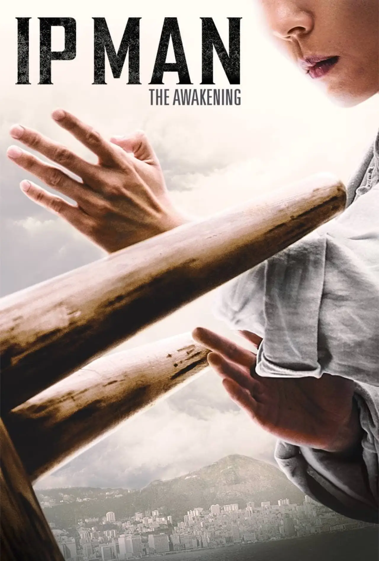 Plakat filmowy "叶问宗师觉醒"