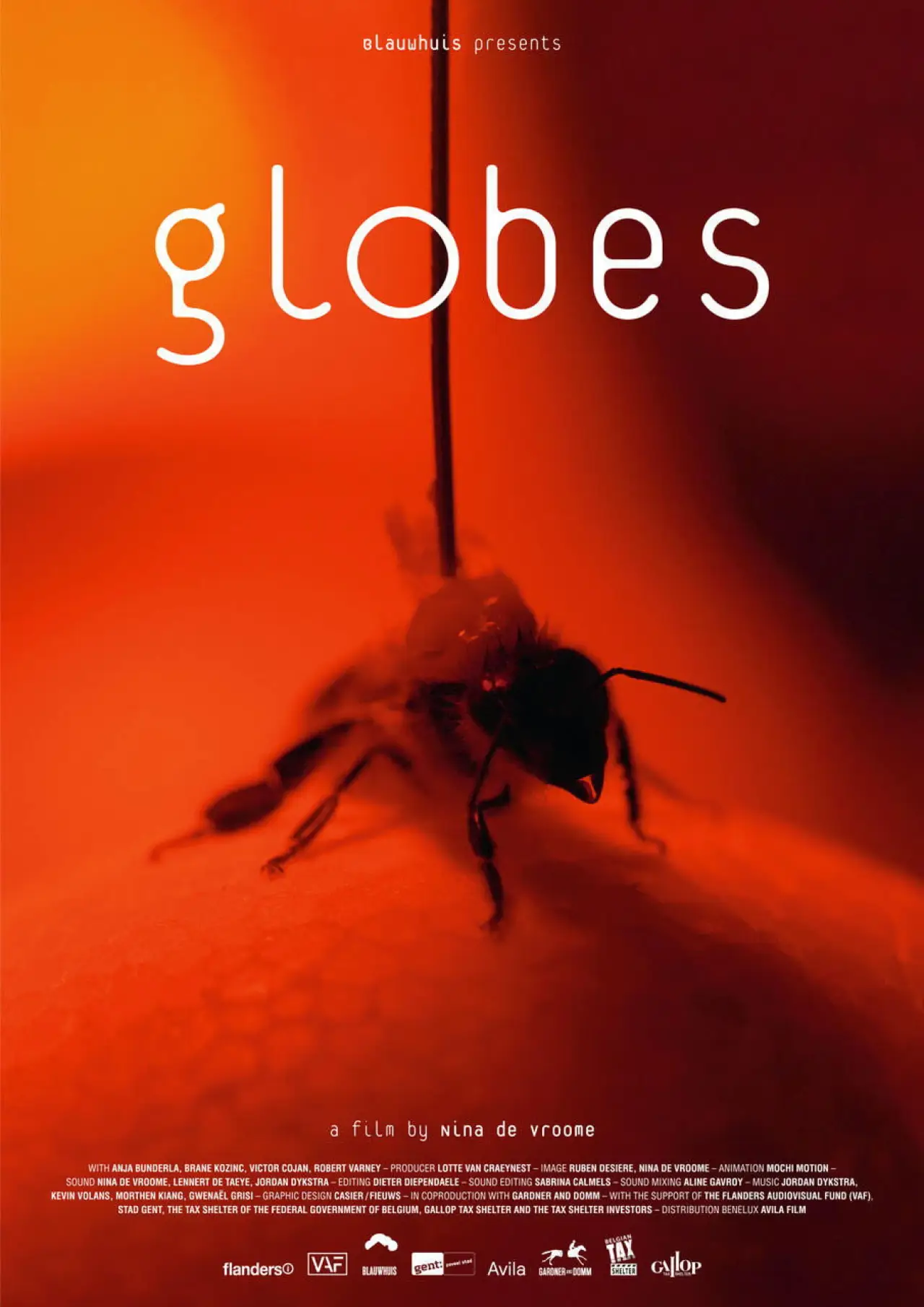 Plakat filmowy "Globes"