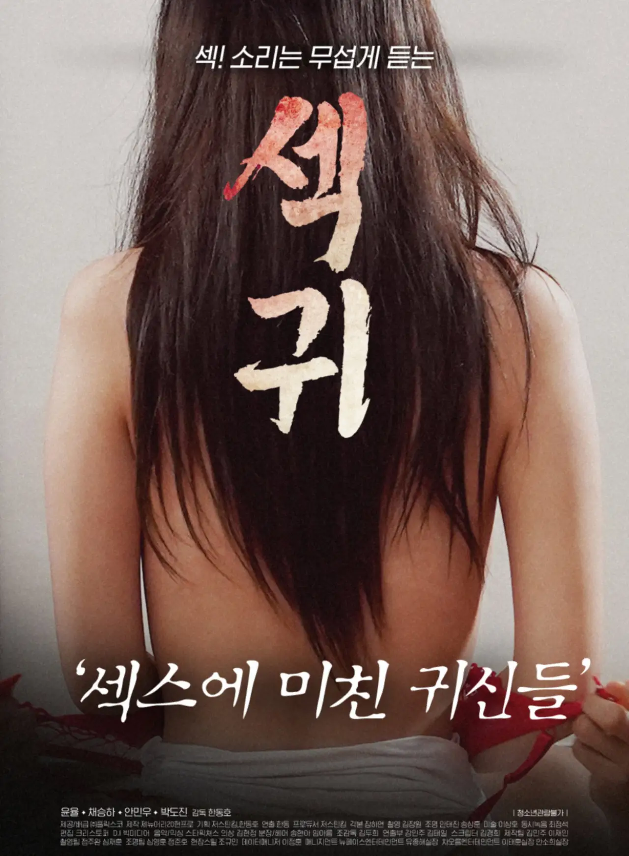 Plakat filmowy "섹귀 : 섹스에 미친 귀신들"