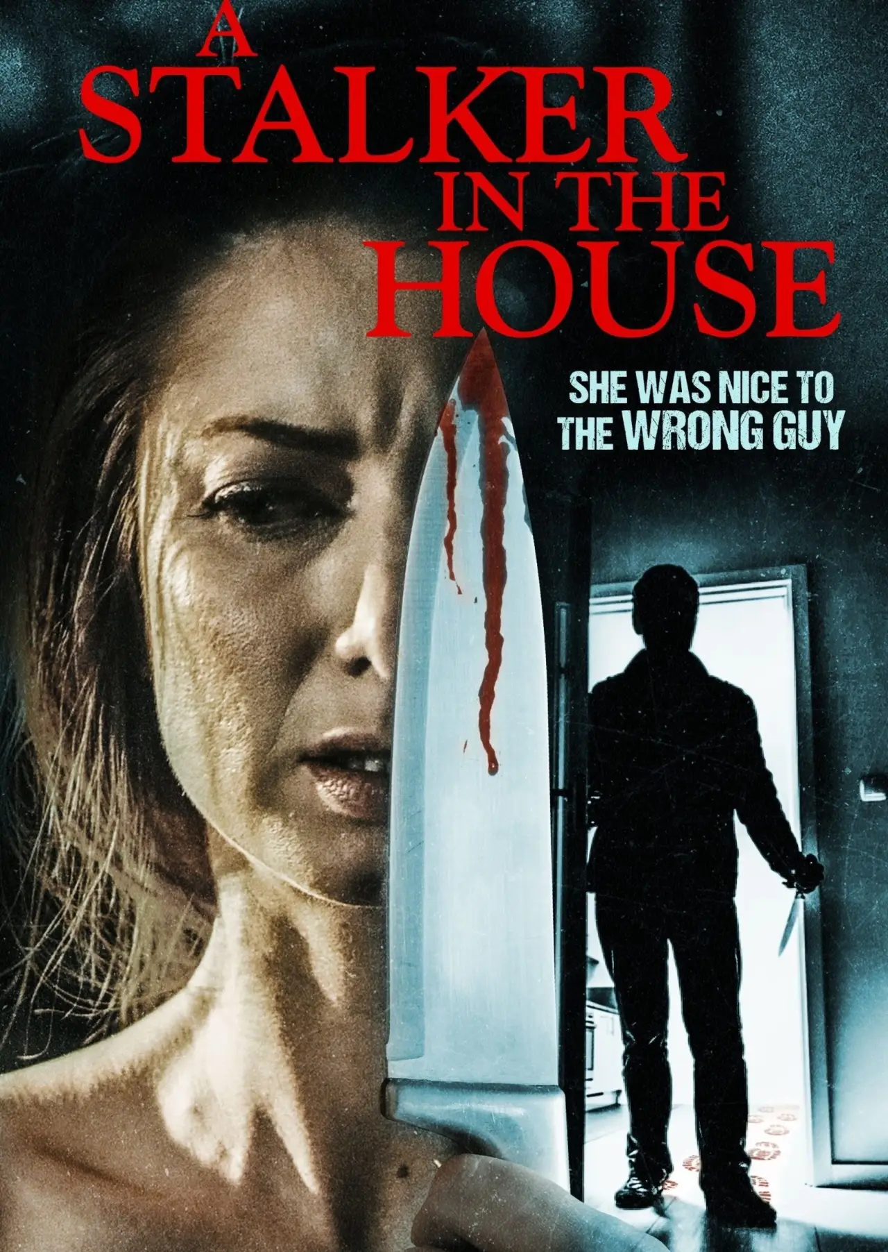 Plakat filmowy "A Stalker in the House"
