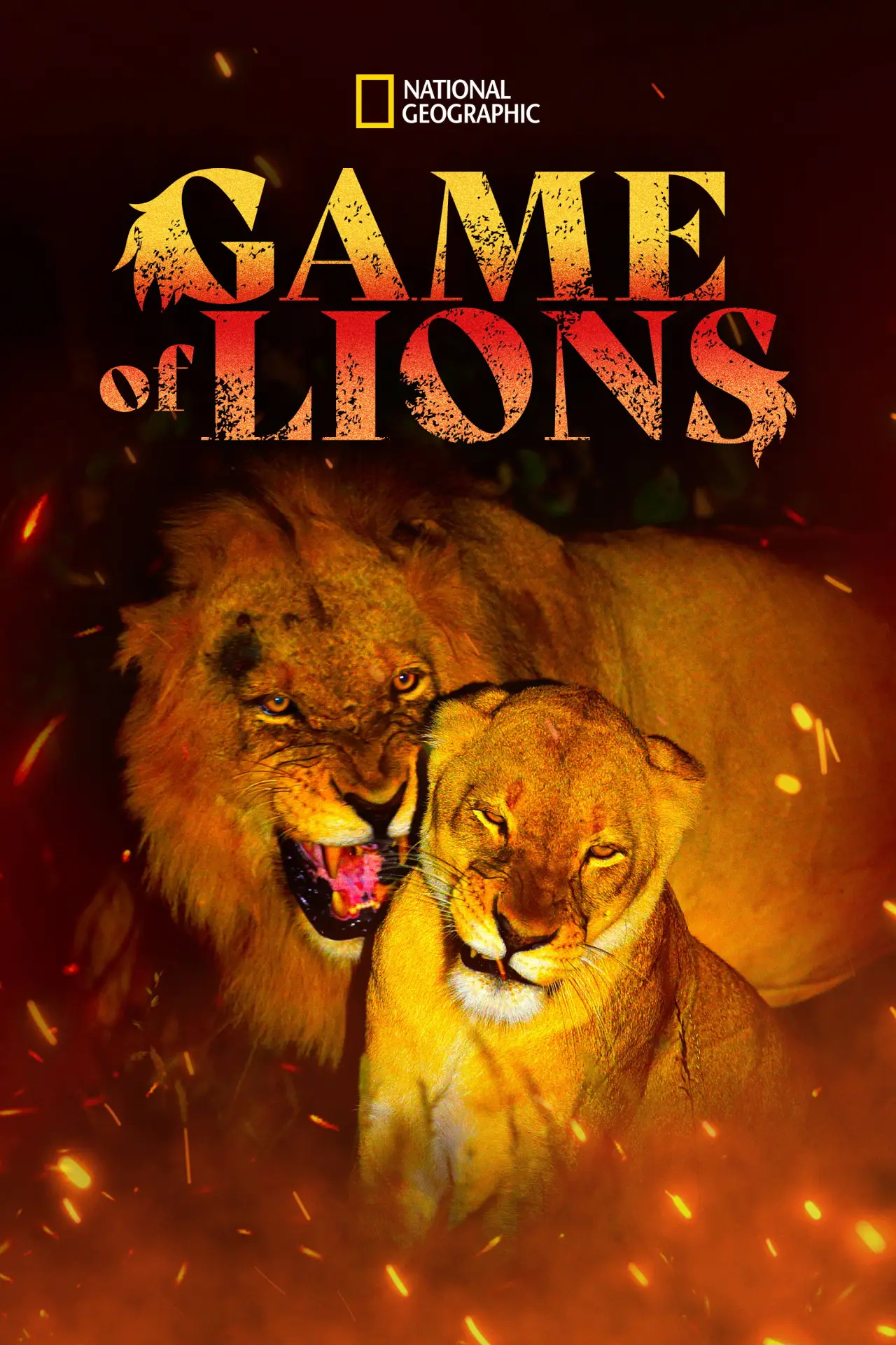 Plakat filmowy "Game of Lions"