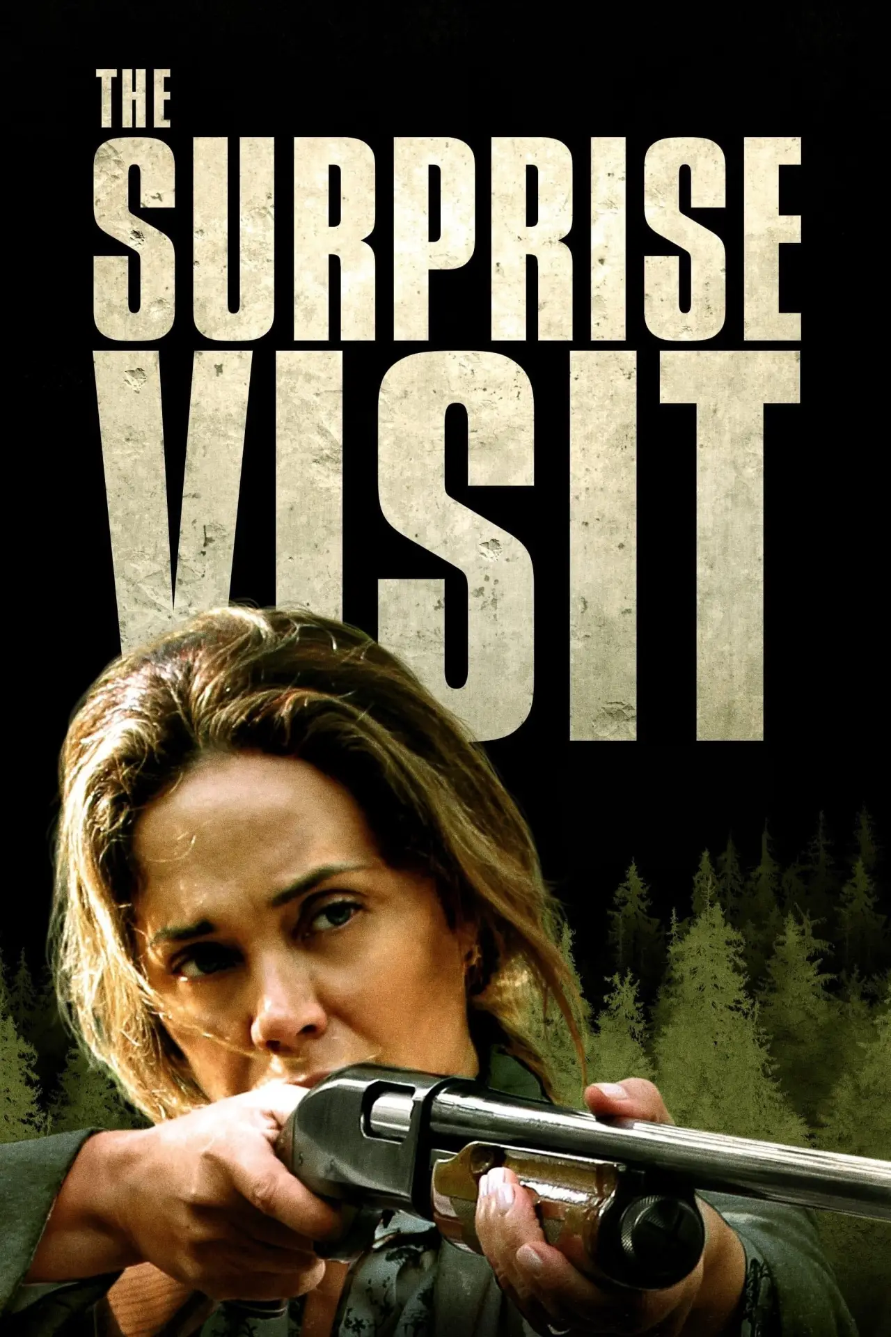 Plakat filmowy "Niespodziewana wizyta"