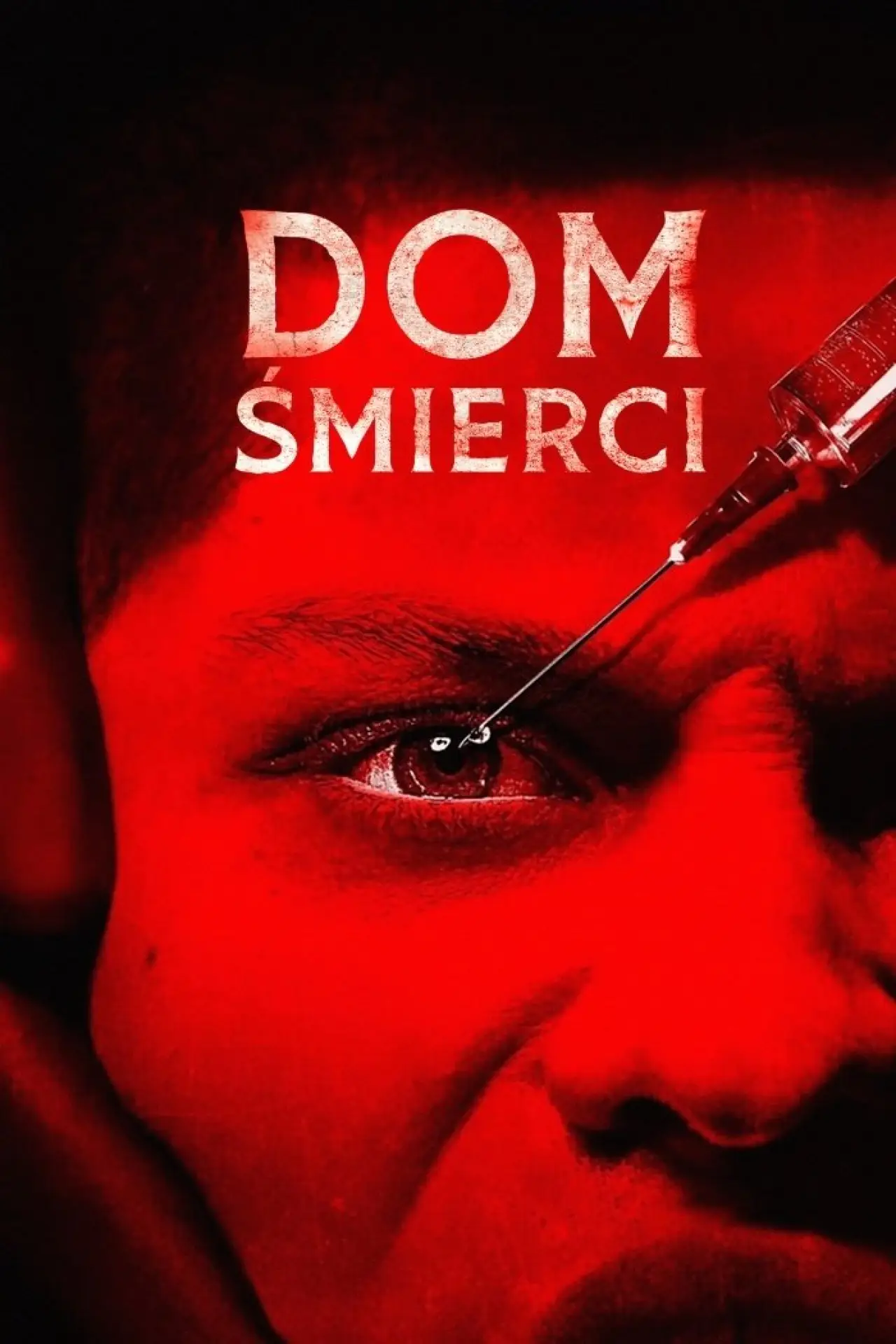 Plakat filmowy "Dom śmierci"