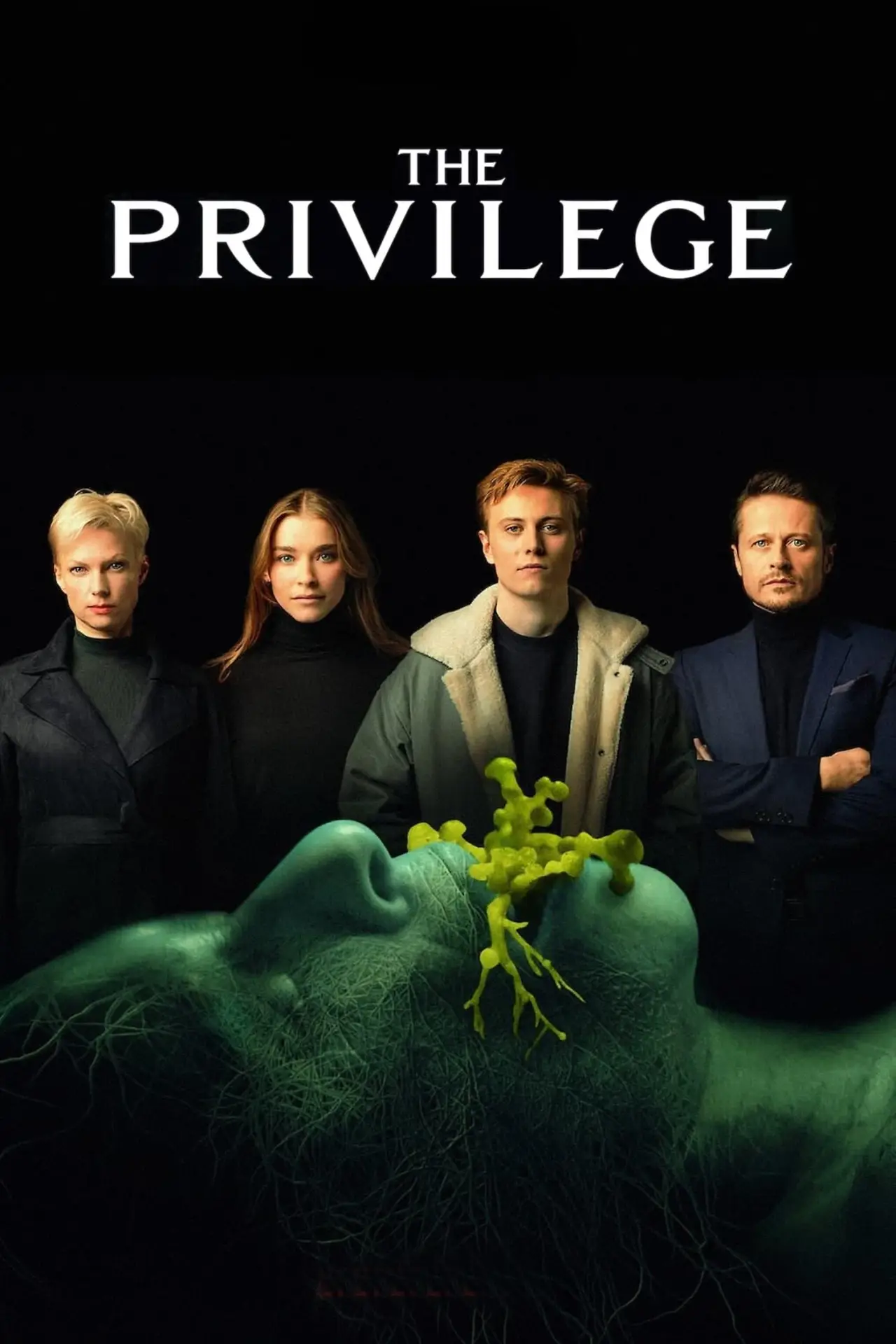 Plakat filmowy "Przywilej"