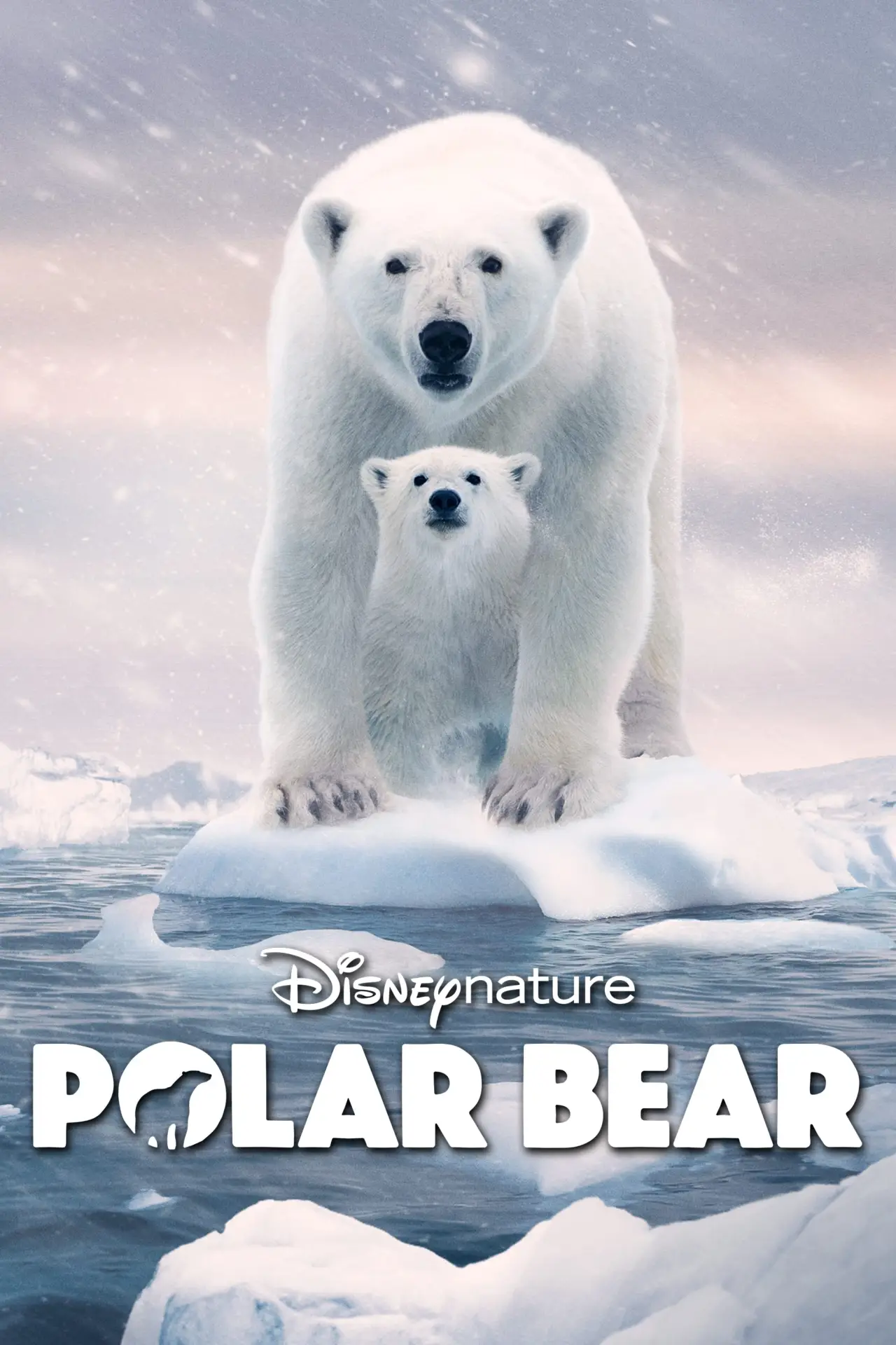 Plakat filmowy "Polar Bear"