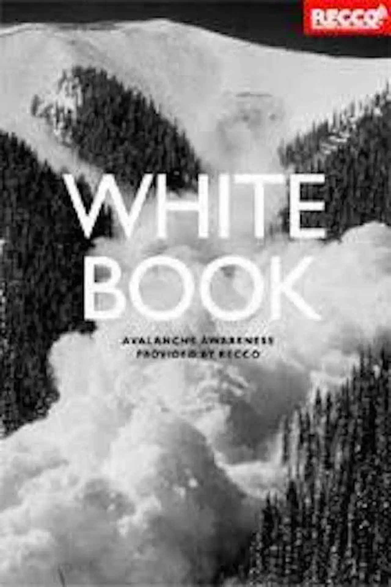 Plakat filmowy "Whitebook"