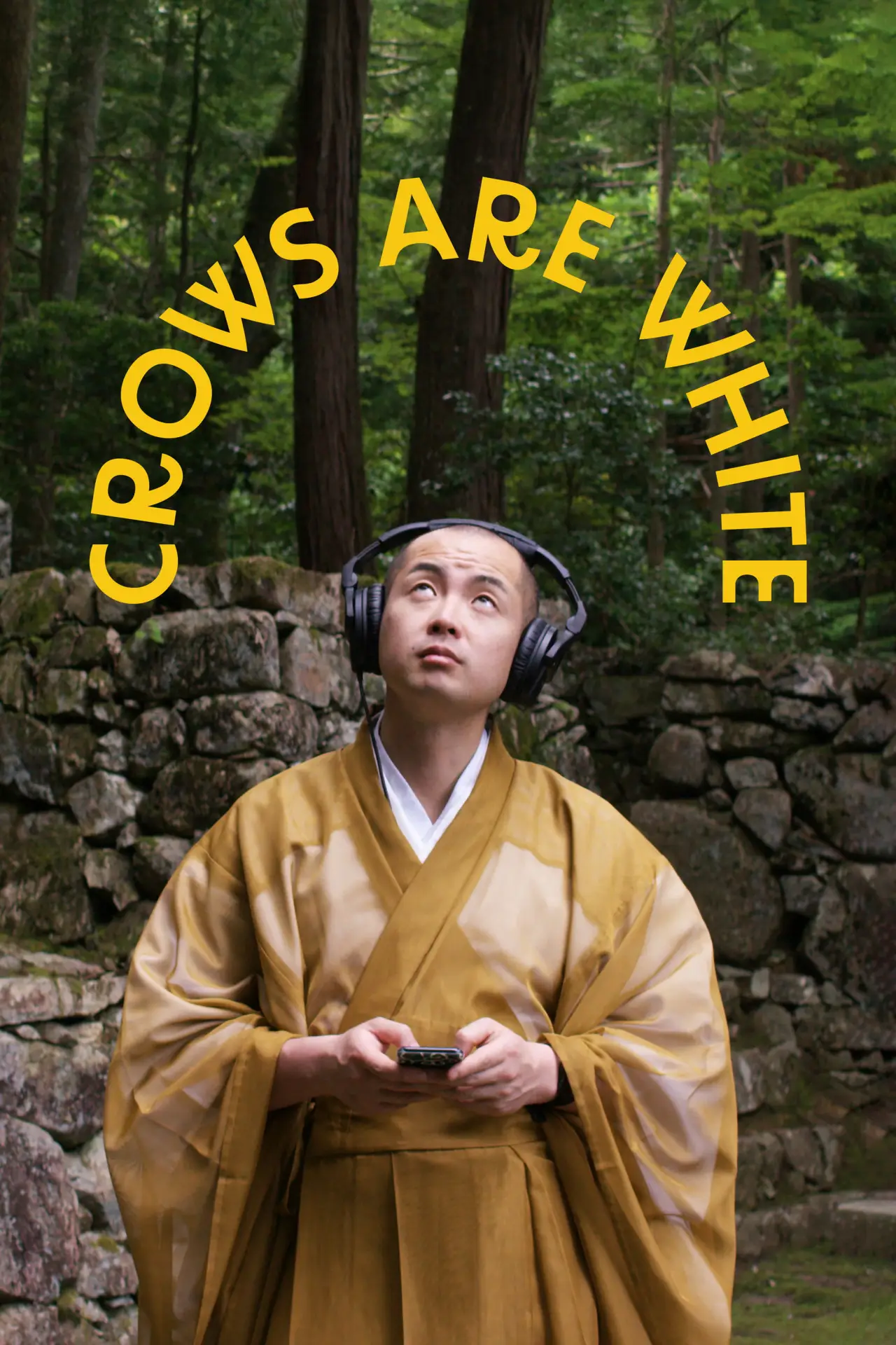 Plakat filmowy "Crows Are White"