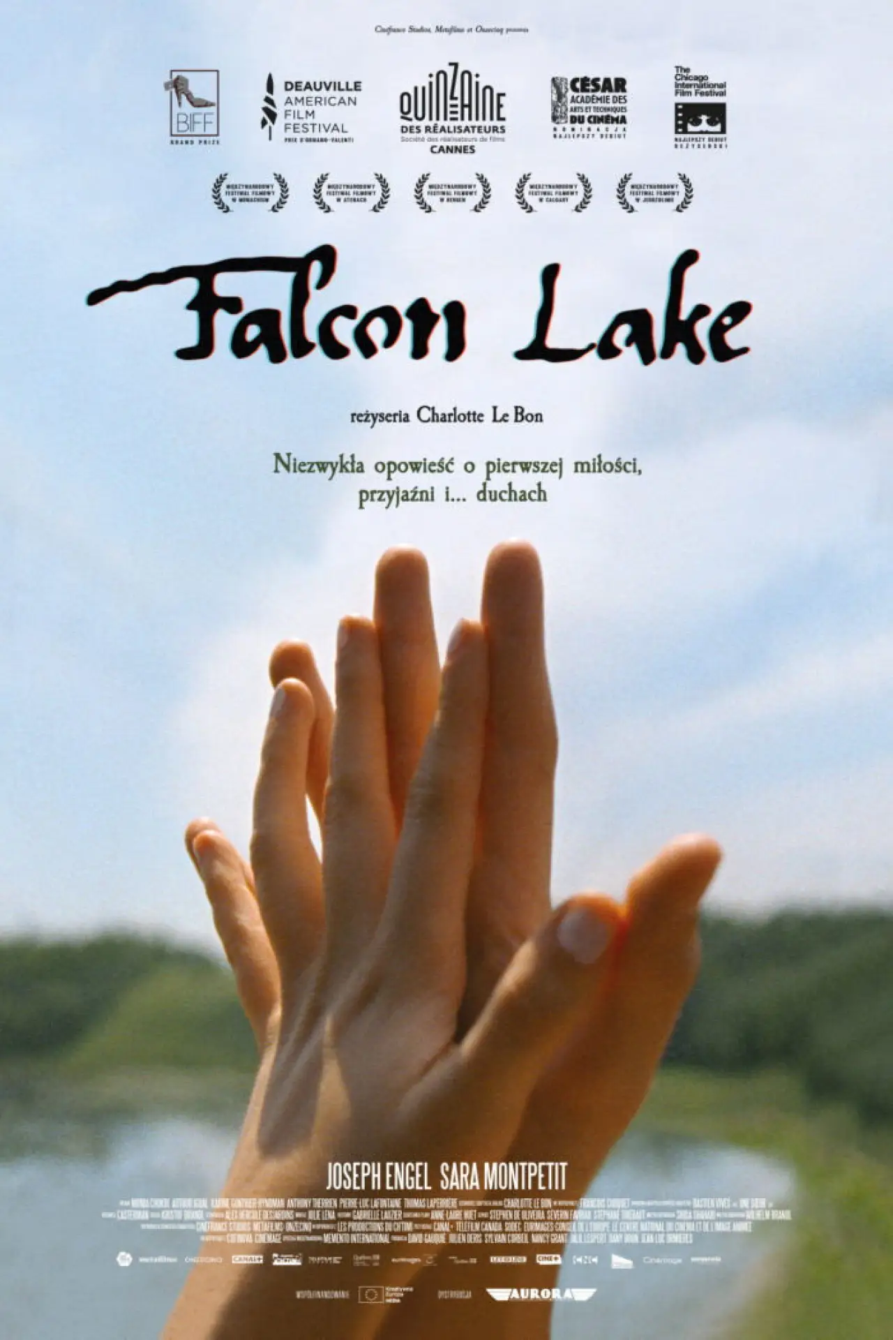 Plakat filmowy "Falcon Lake"