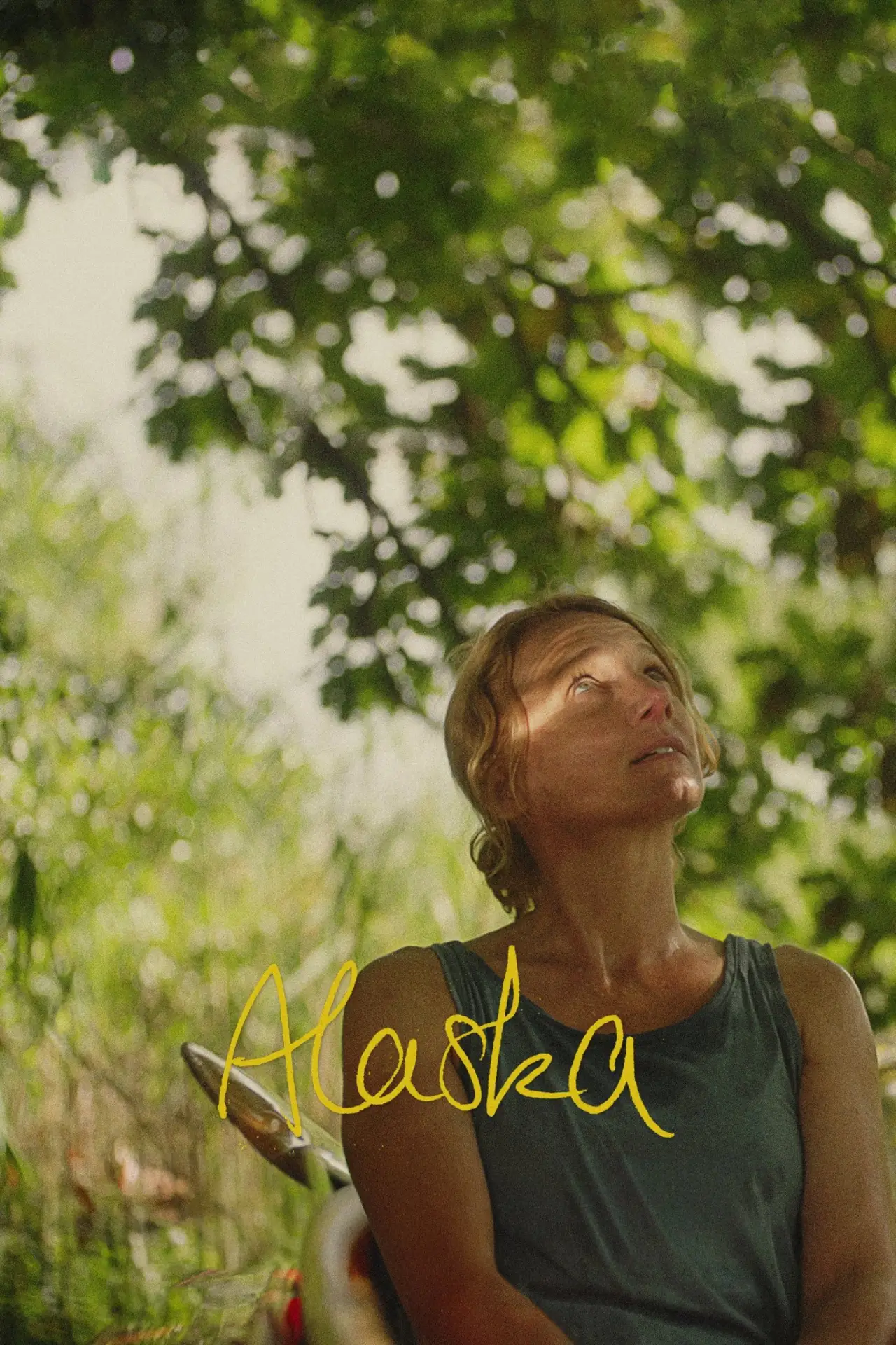 Plakat filmowy "Alaska"