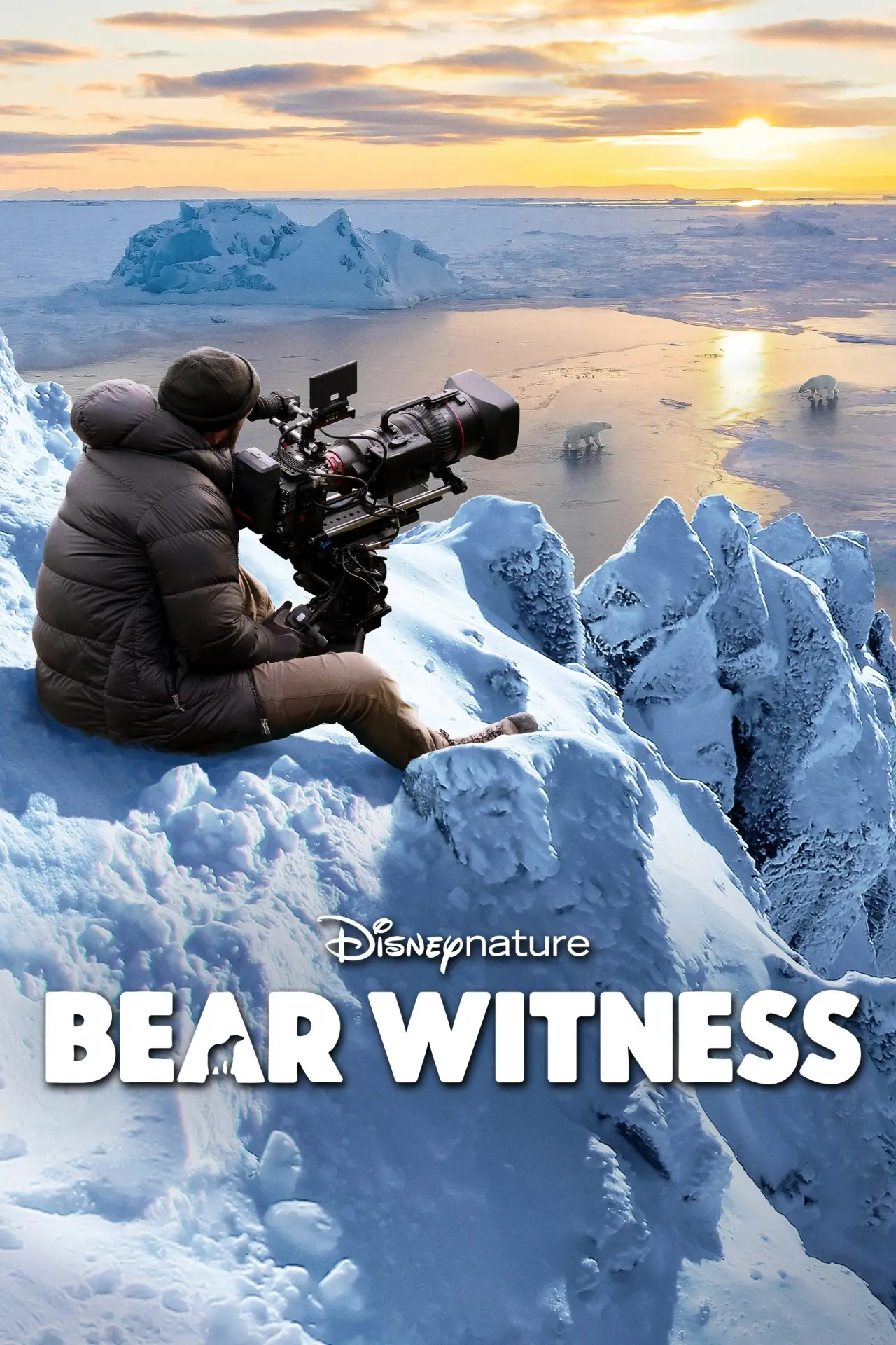 Plakat filmowy "Bear Witness"