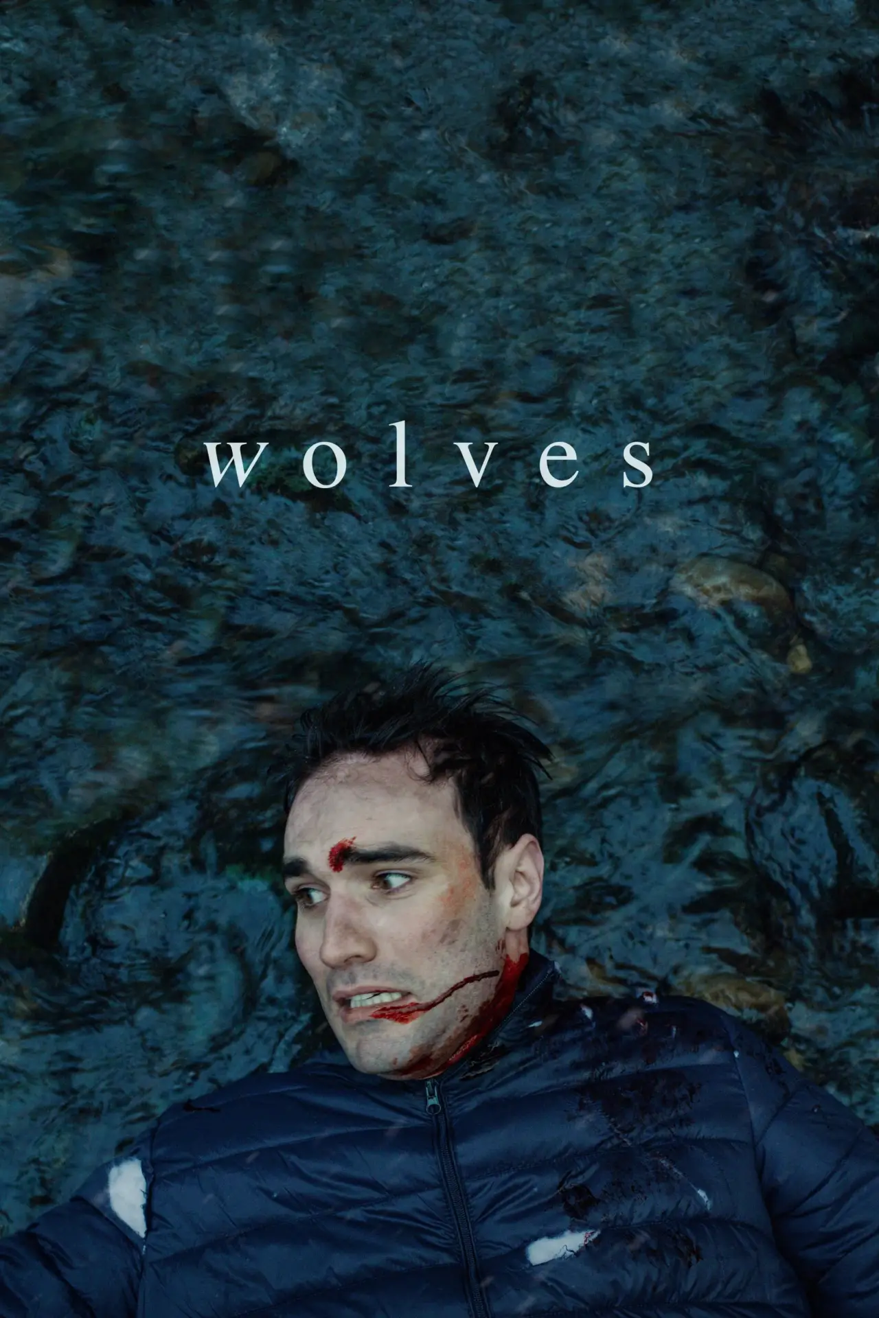 Plakat filmowy "Wilki"