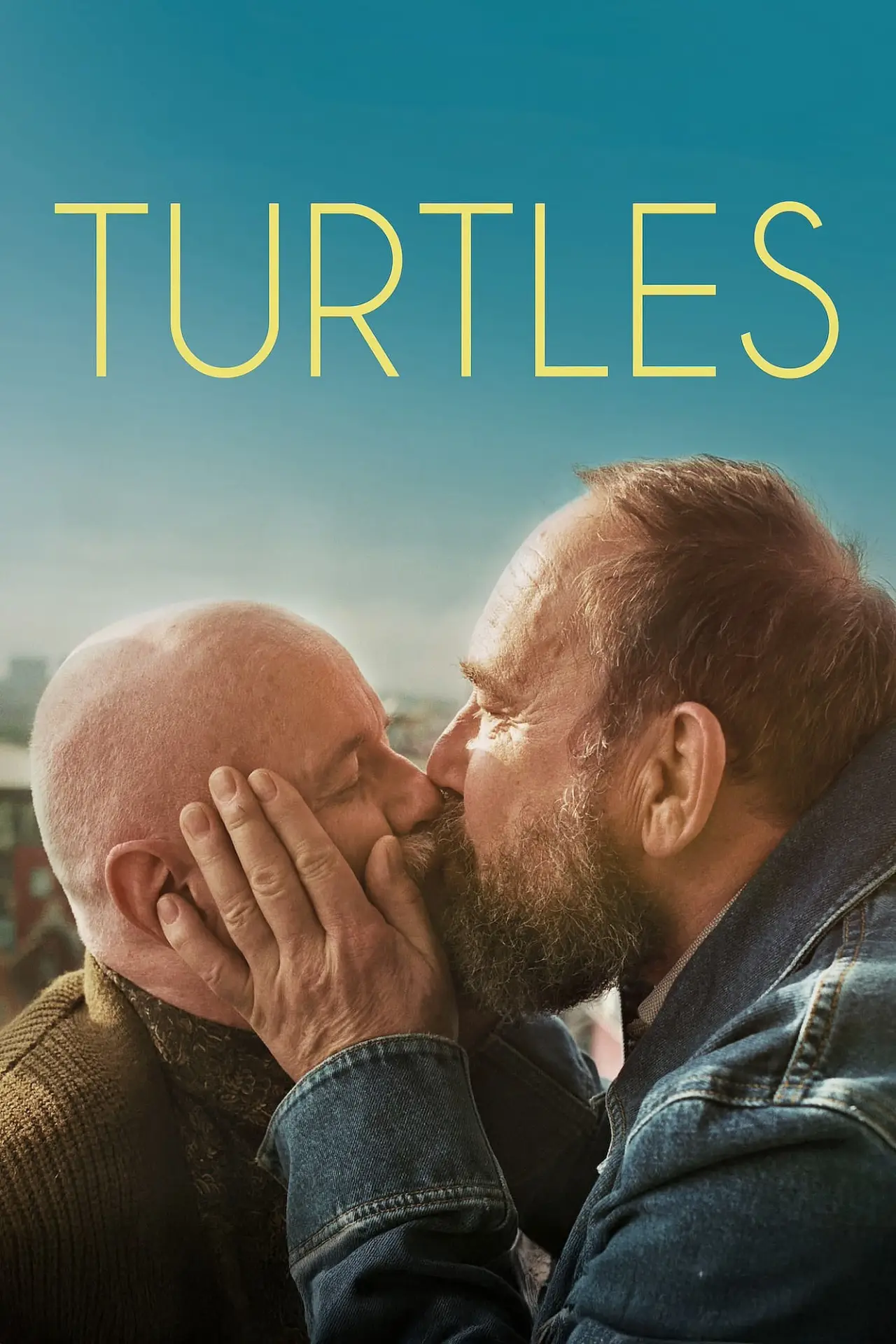 Plakat filmowy "Les tortues"