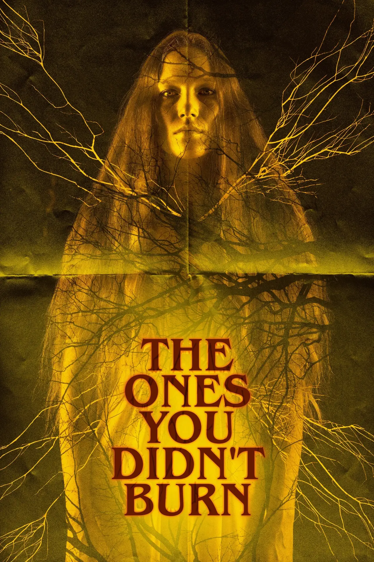 Plakat filmowy "The Ones You Didn’t Burn"