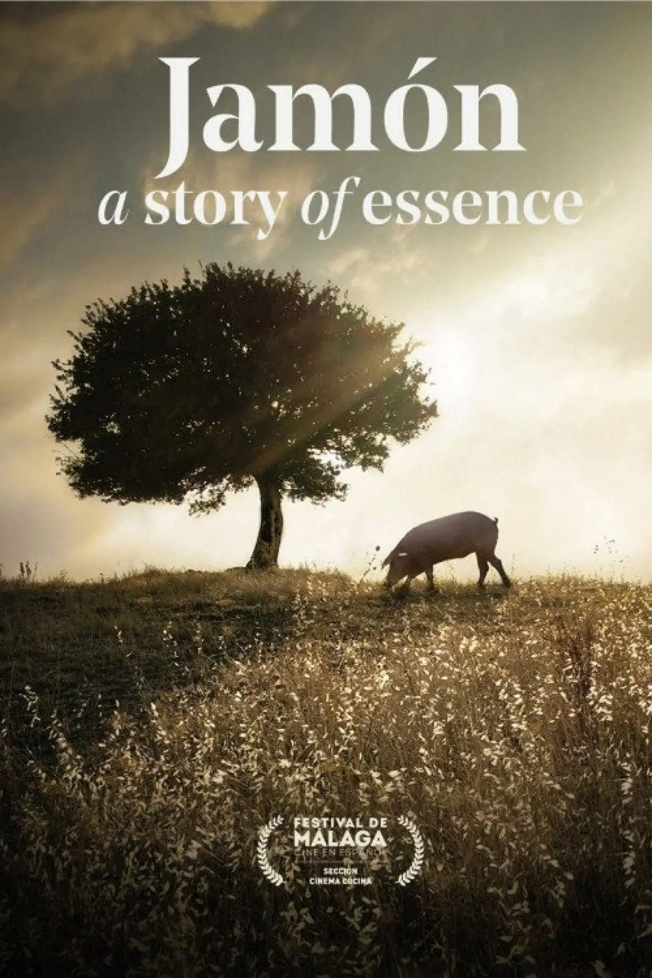 Plakat filmowy "Jamón, a Story of Essence"
