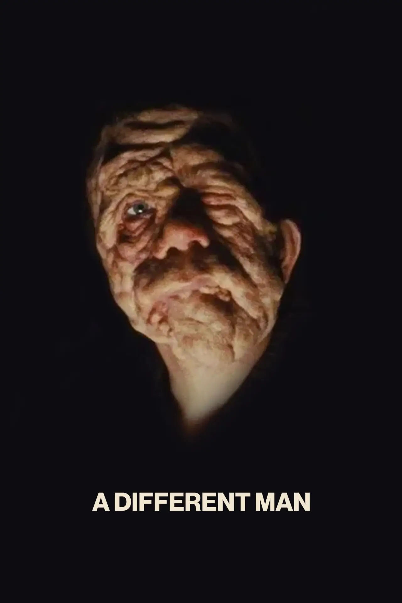 Plakat filmowy "A Different Man"