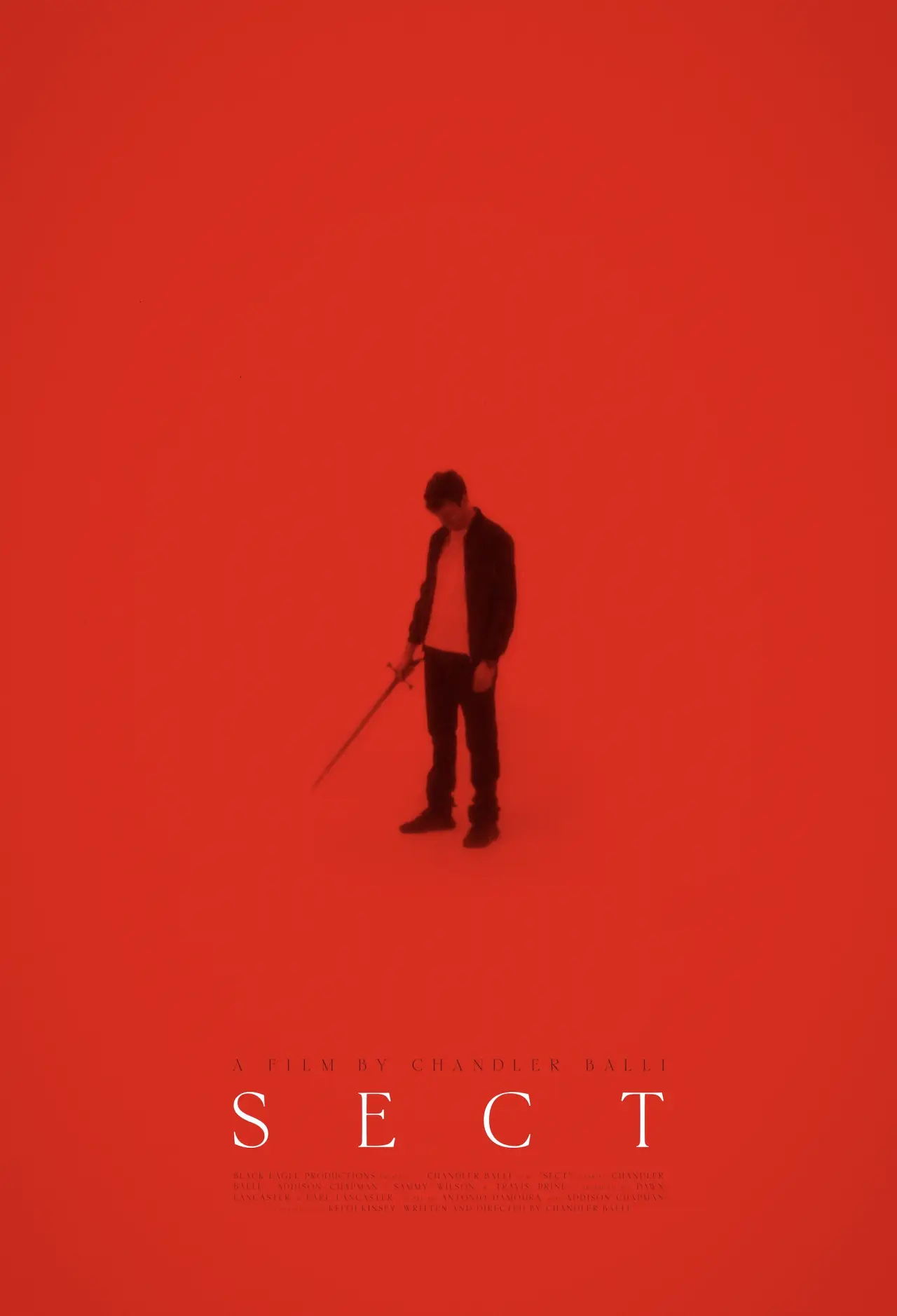 Plakat filmowy "SECT"