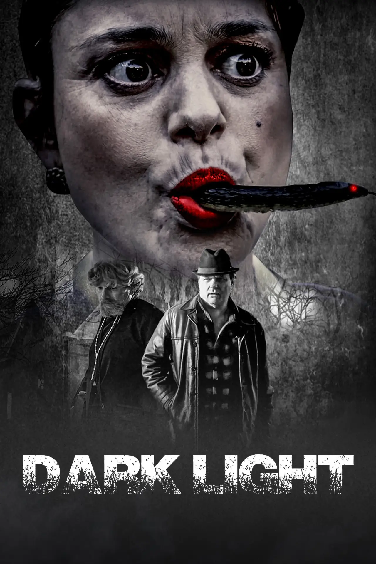 Plakat filmowy "Dark Light"