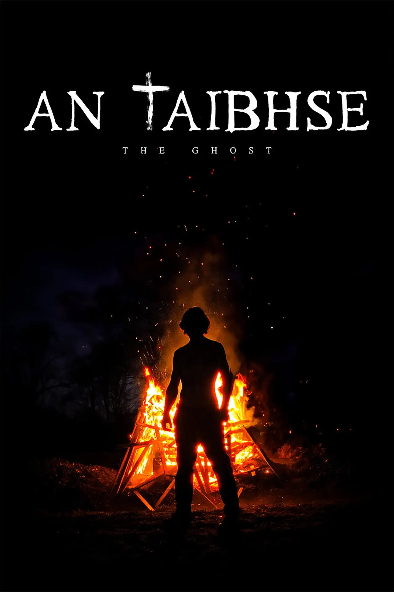 Plakat filmowy "An Taibhse"