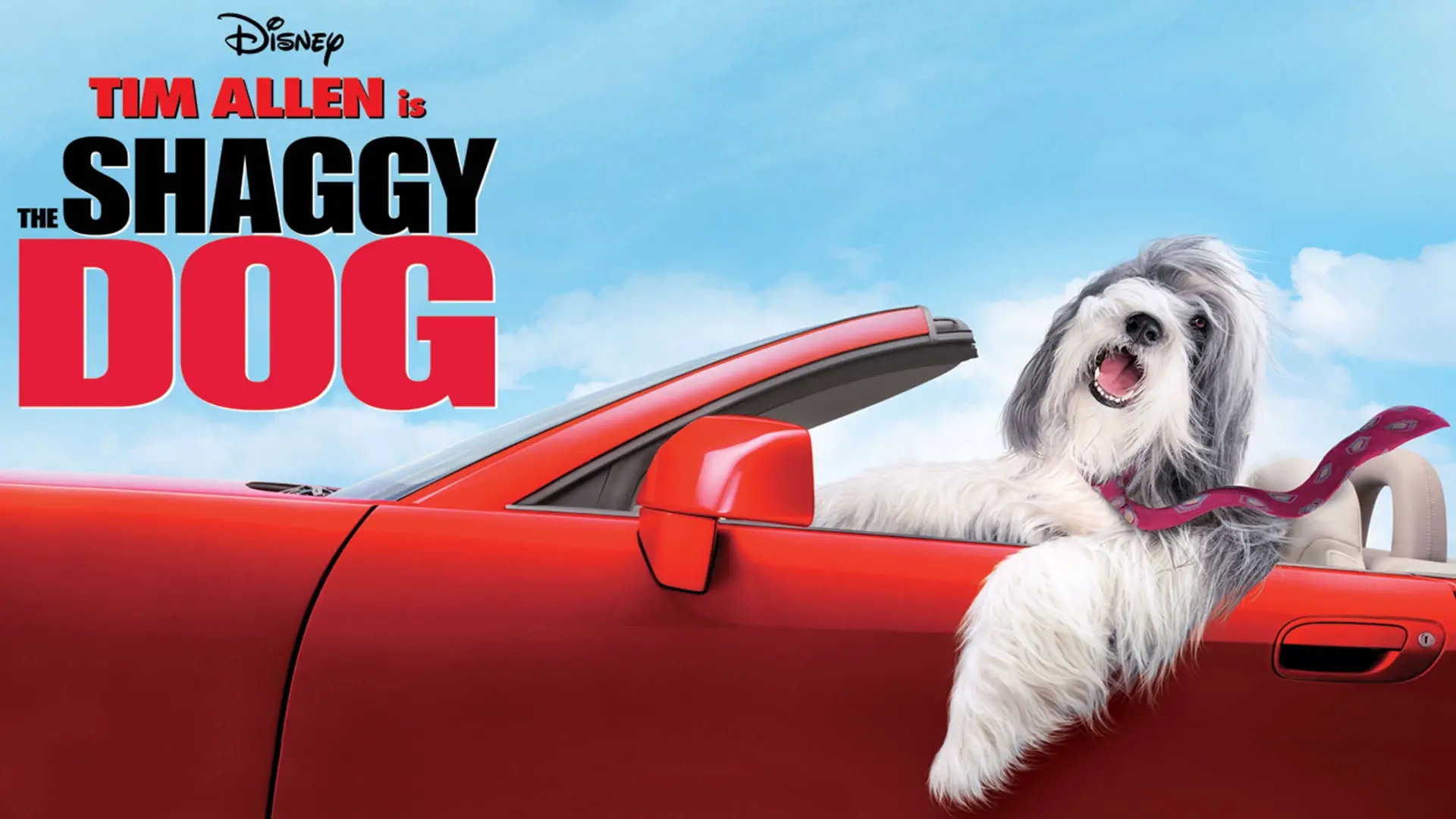 Wideo do filmu Na psa urok — The Shaggy Dog (2006) Trailer #1 - Tim Allen Movie HD