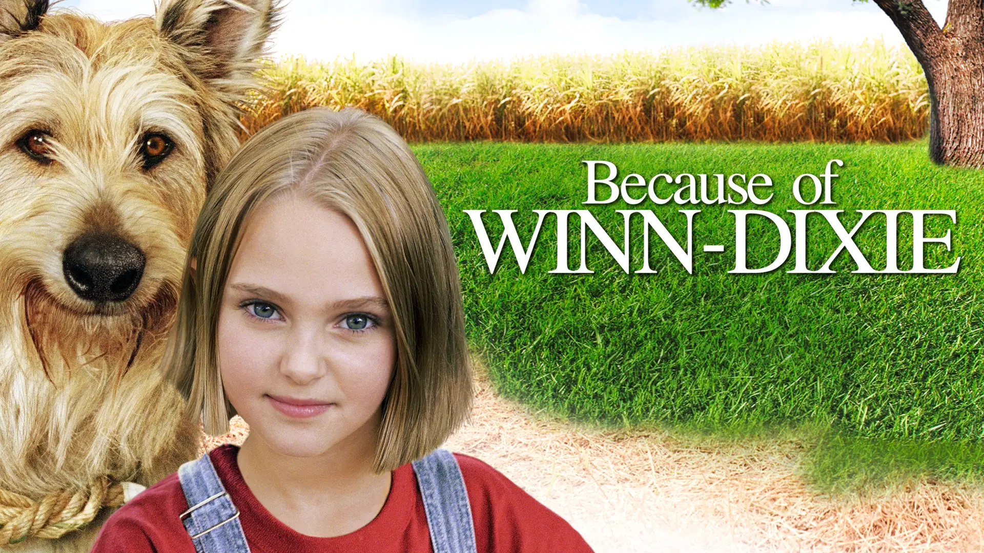 Wideo do filmu Dzięki tobie, Winn-Dixie — Because Of Winn Dixie Trailer HD