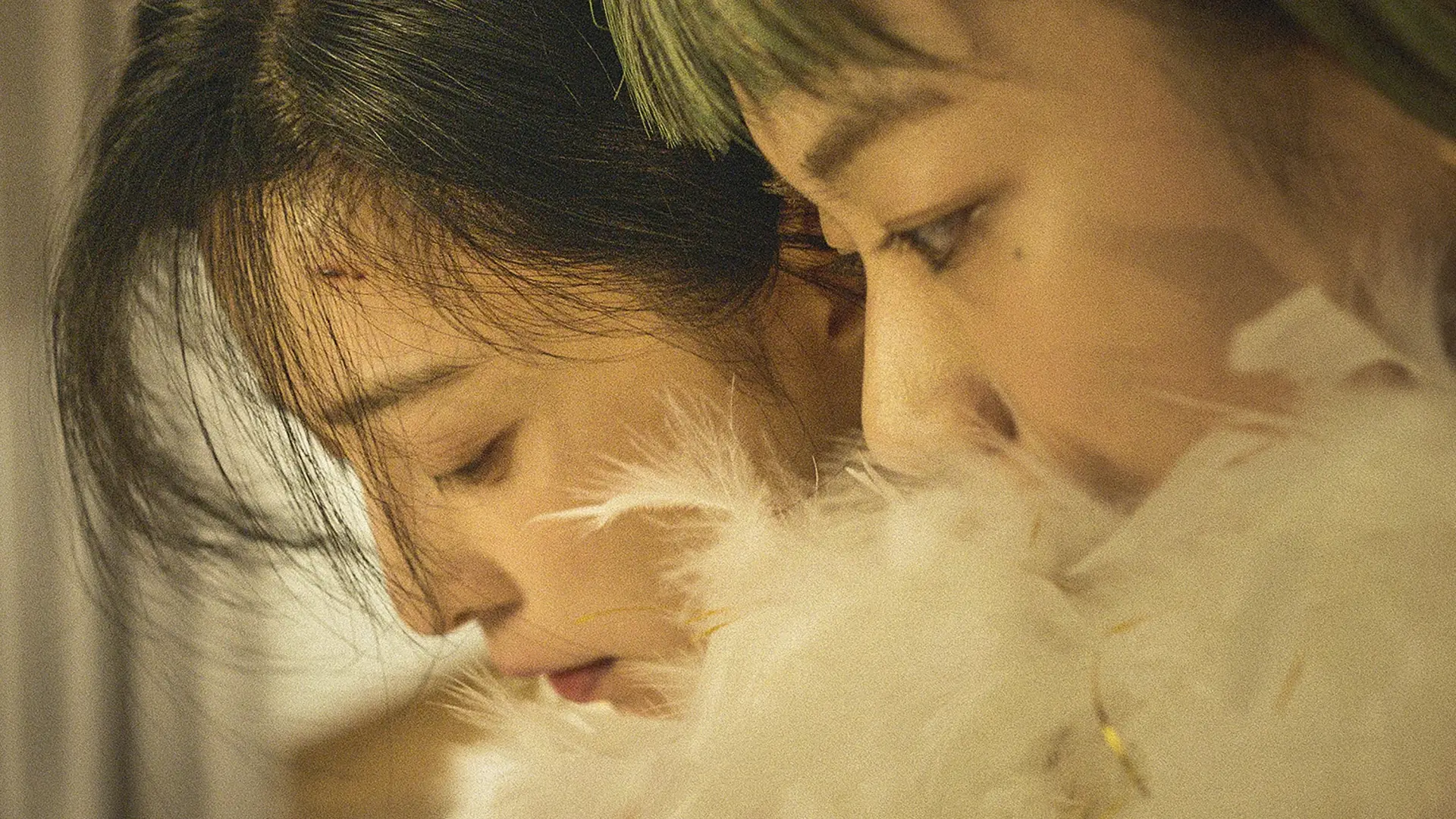 Wideo do filmu Zielona noc — "Green Night" | Trailer | Berlinale 2023