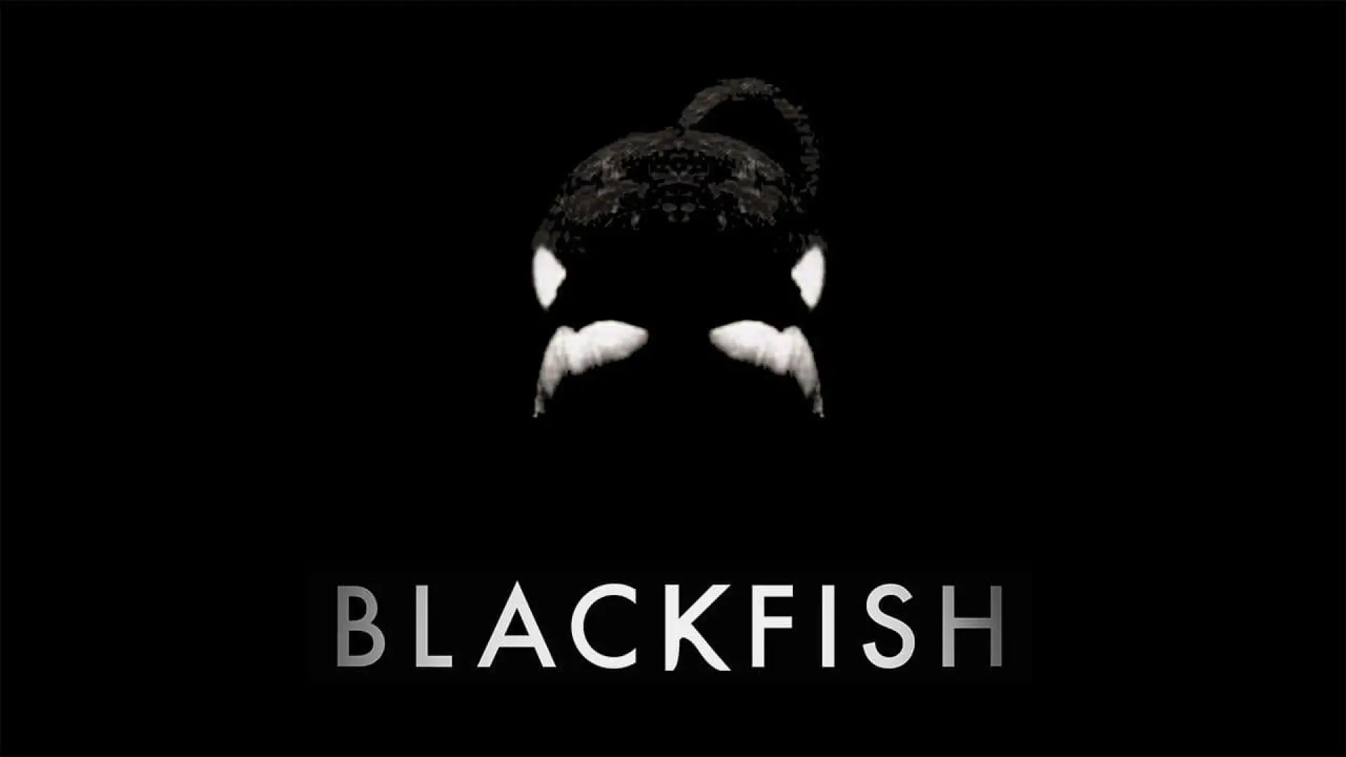 Wideo do filmu Blackfish — Blackfish - Official Trailer