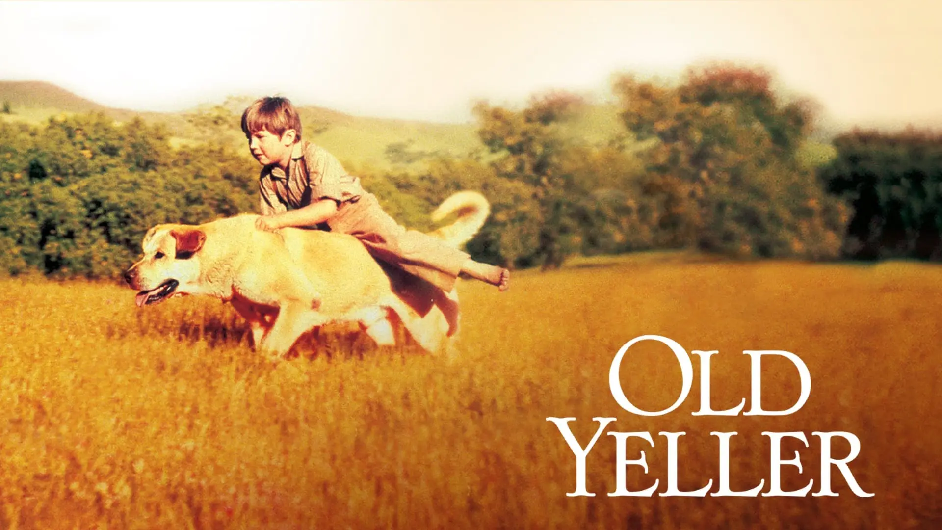 Wideo do filmu Żółte psisko — OLD YELLER 40th ANNIVERSARY MOVIE TRAILER [VHS] 1997