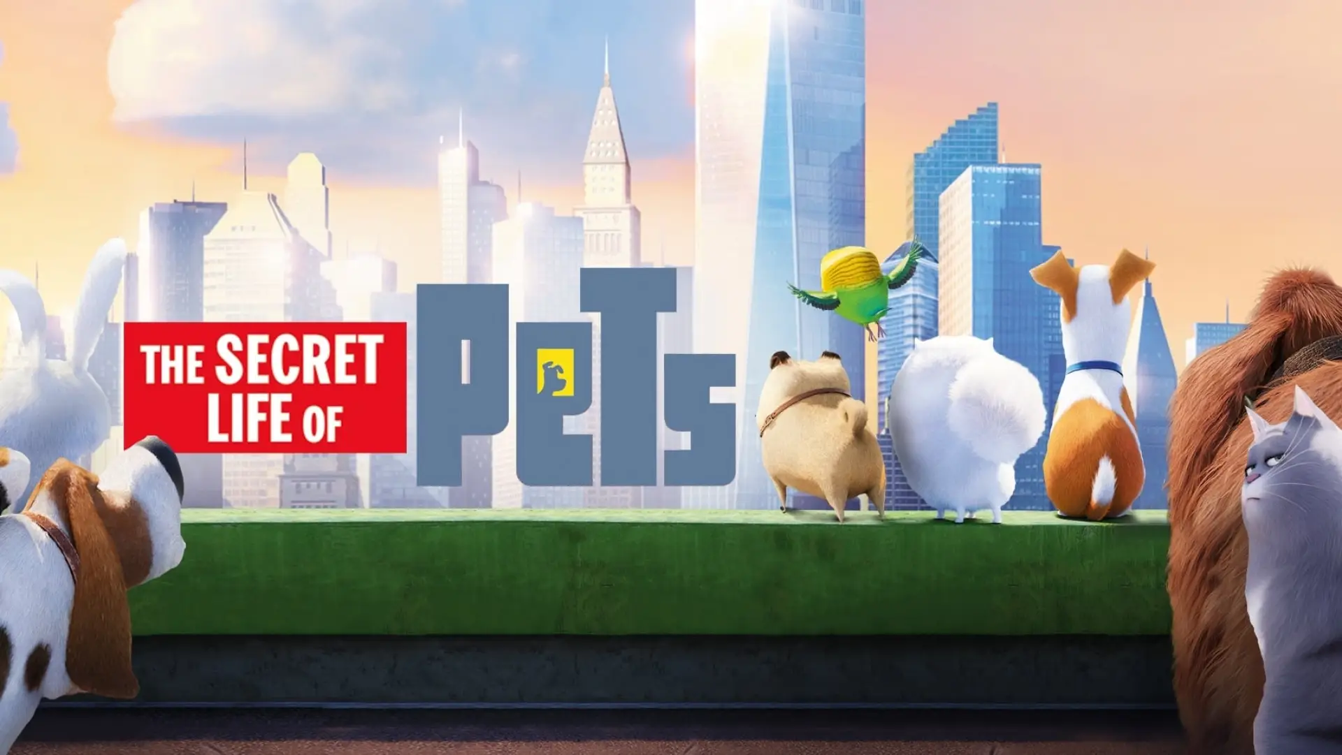 Wideo do filmu Sekretne życie zwierzaków domowych — The Secret Life Of Pets - Trailer #3 (HD) - Illumination