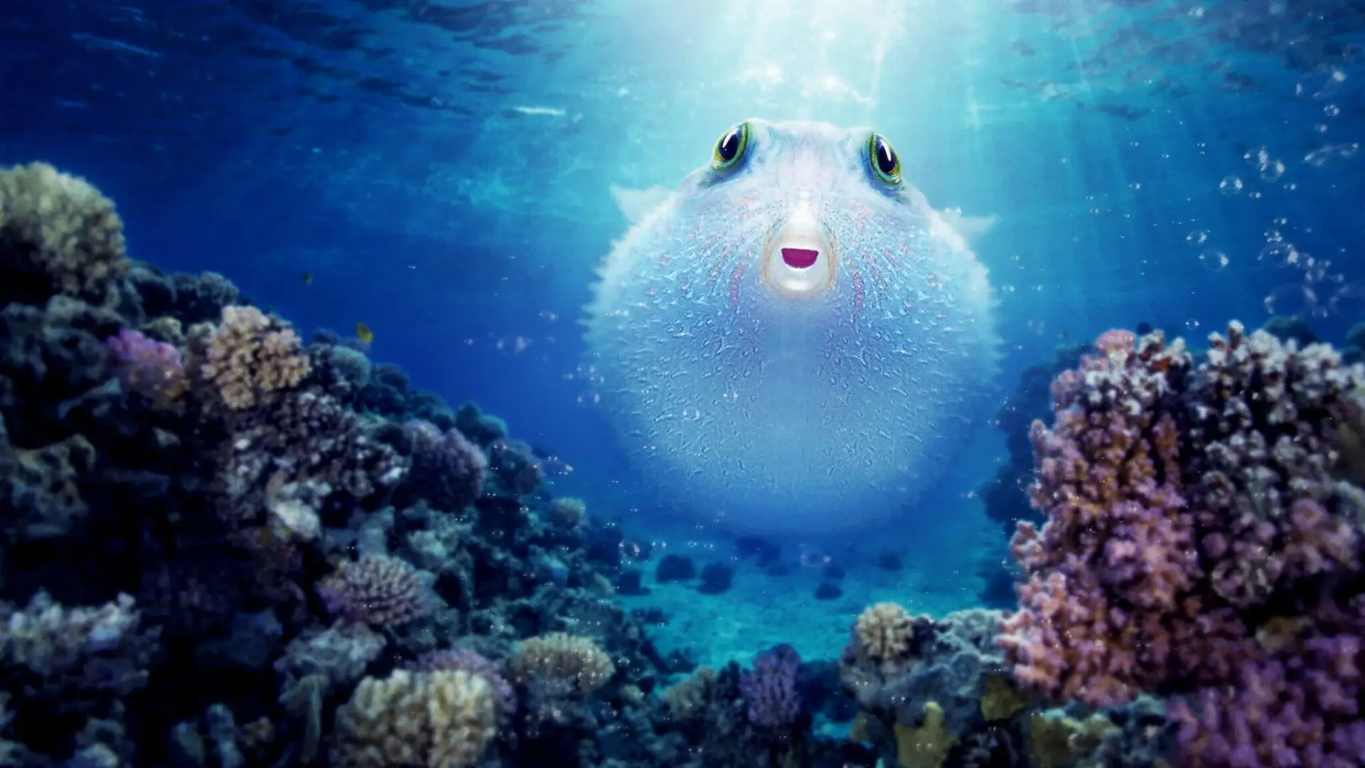 Wideo do filmu Z rozdymką przez rafę koralową — Puff: Wonders of the Reef | Official Trailer | Netflix