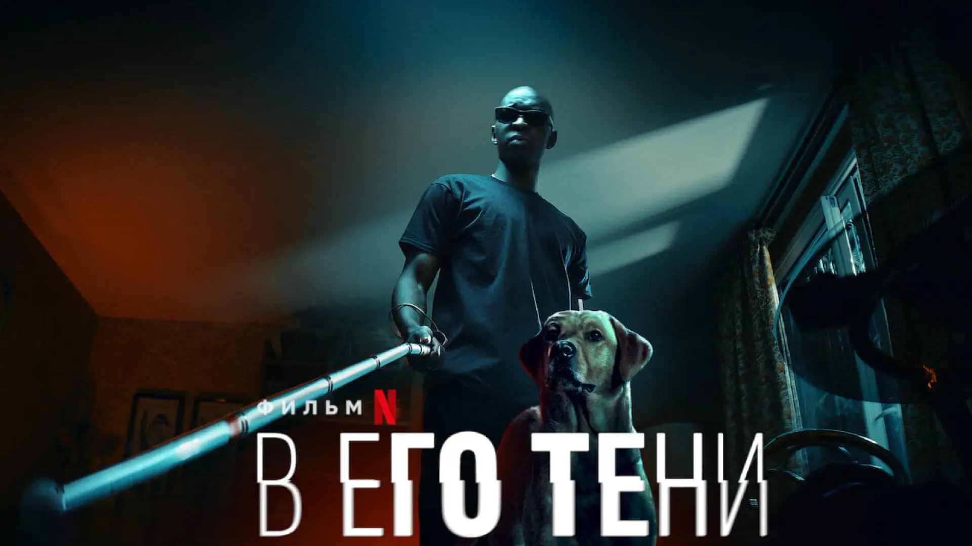 Wideo do filmu Król cieni — In His Shadow (Le Roi des Ombres) - 2023 - Netflix Trailer - English Subtitles