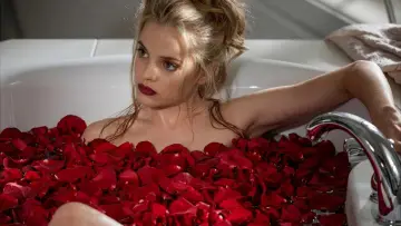Zasłona do filmu "American Beauty" #1643286
