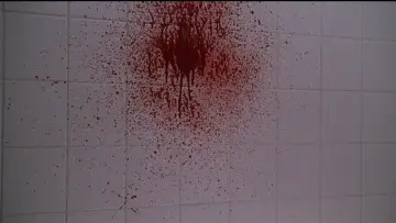 Zasłona do filmu "American Beauty" #1726016