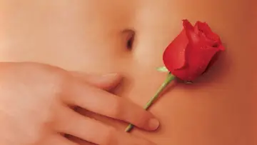 Zasłona do filmu "American Beauty" #179699