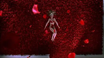 Zasłona do filmu "American Beauty" #1923193
