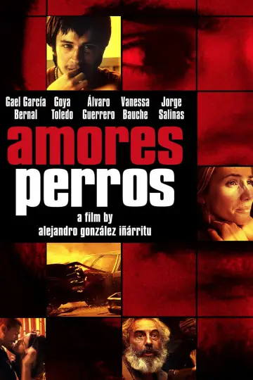 Plakat do filmu "Amores perros" #204147