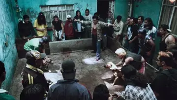 Zasłona do filmu "Amores perros" #954783
