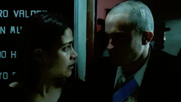 Zasłona do filmu "Amores perros" #954792