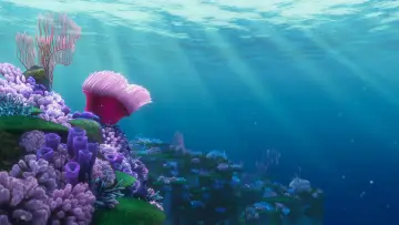 Zasłona do filmu "Gdzie jest Nemo" #171037